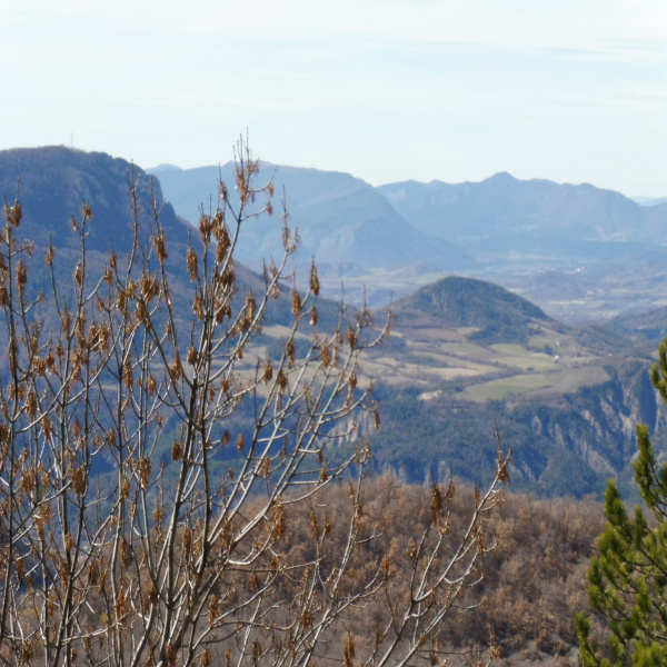 Offres de vente Terrain Valavoire 04250