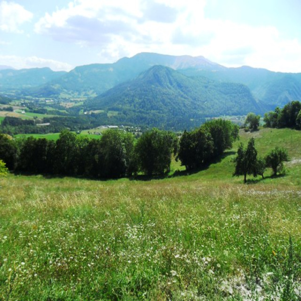 Offres de vente Terrain Selonnet 04460