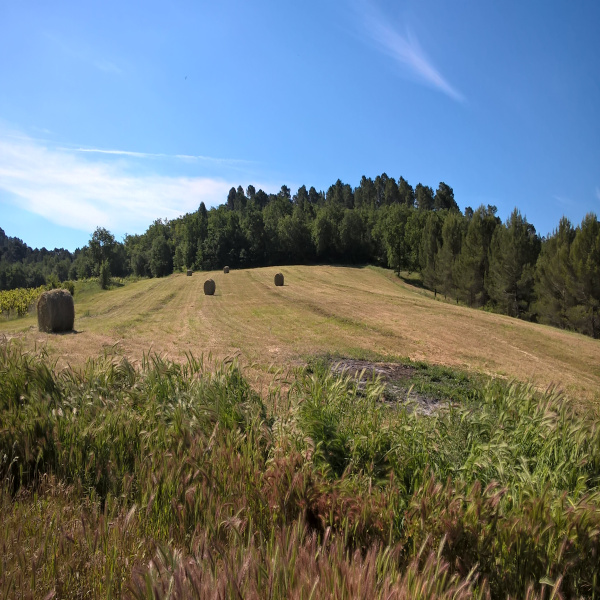 Offres de vente Mas Roussillon 84220