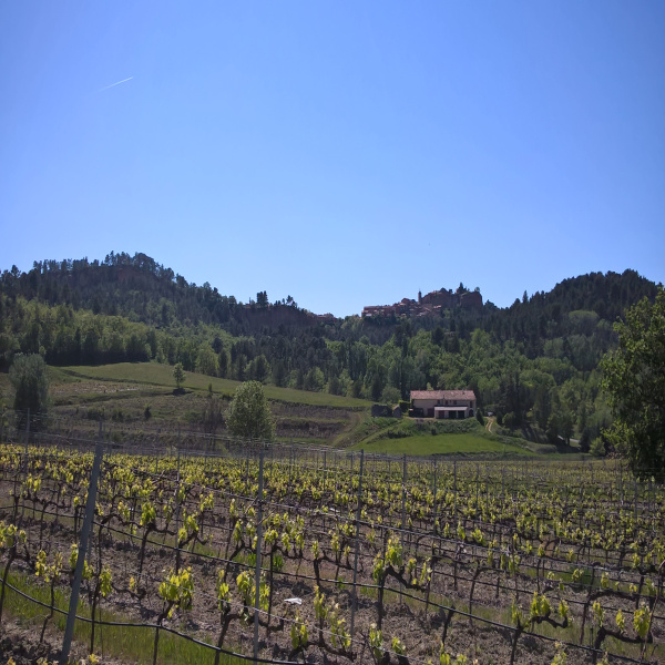 Offres de vente Mas Roussillon 84220