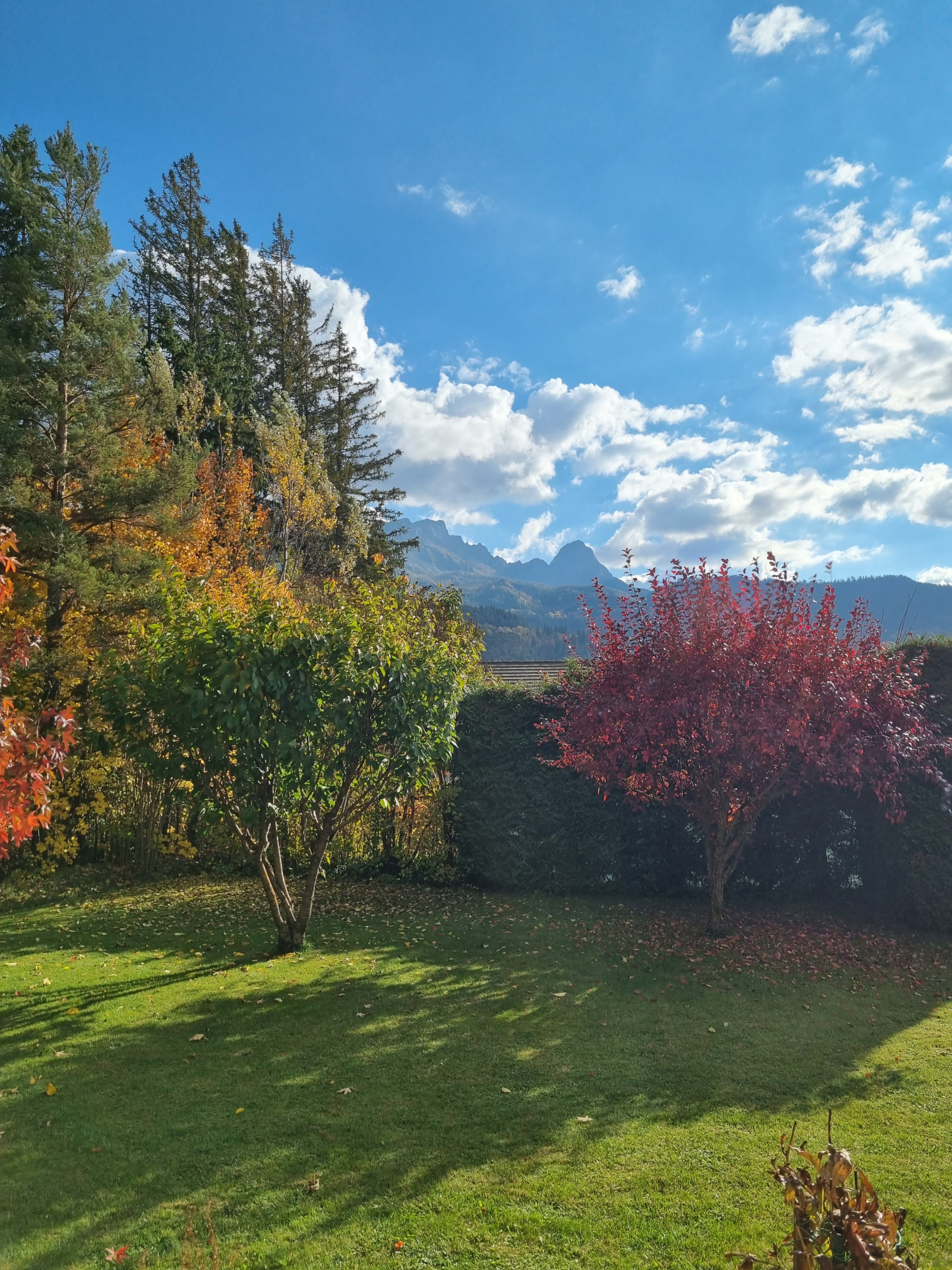 Image_2, Maison, Barcelonnette, ref :2239-25