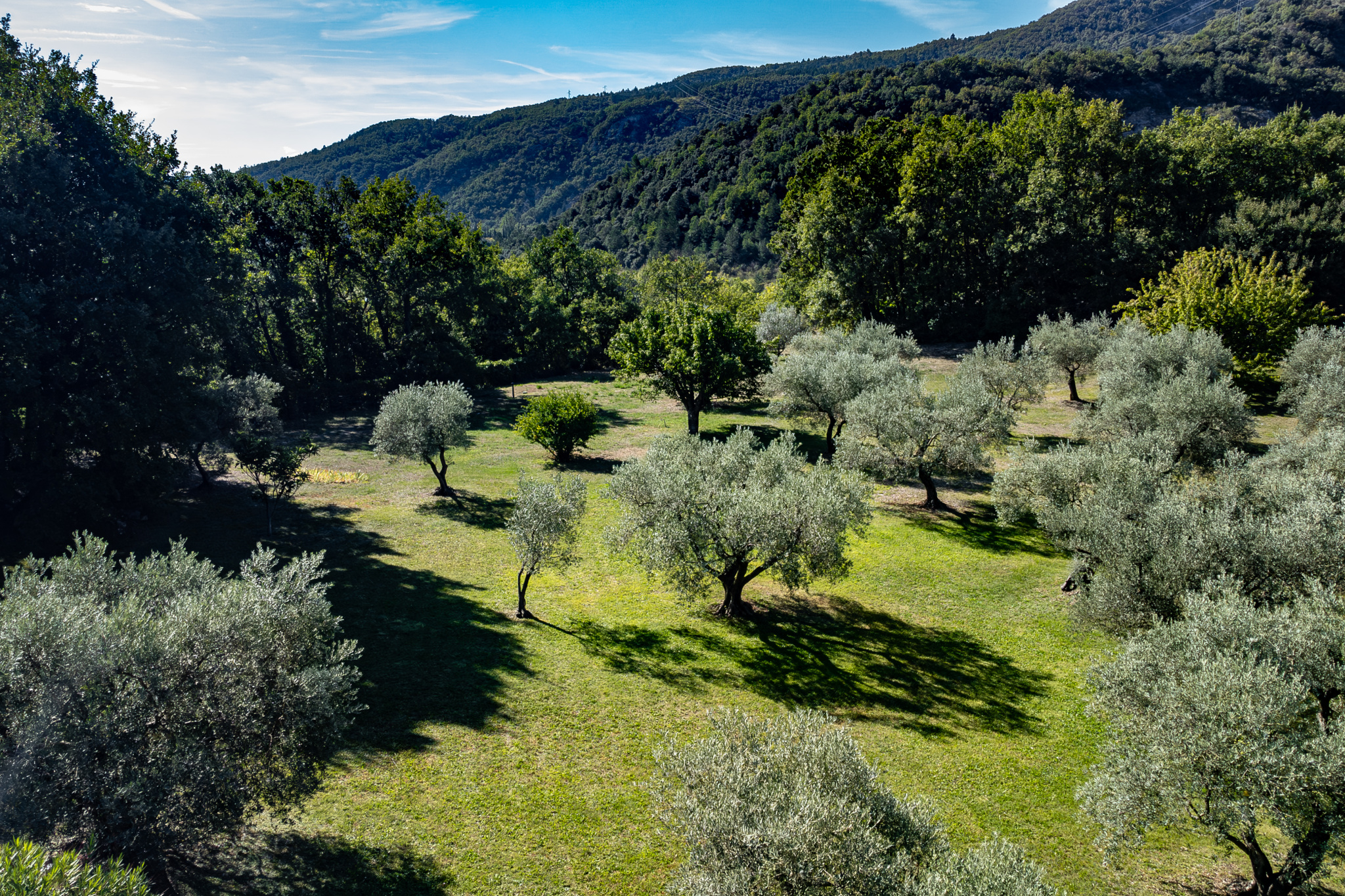 Image_2, Maison, Sisteron, ref :2159-25