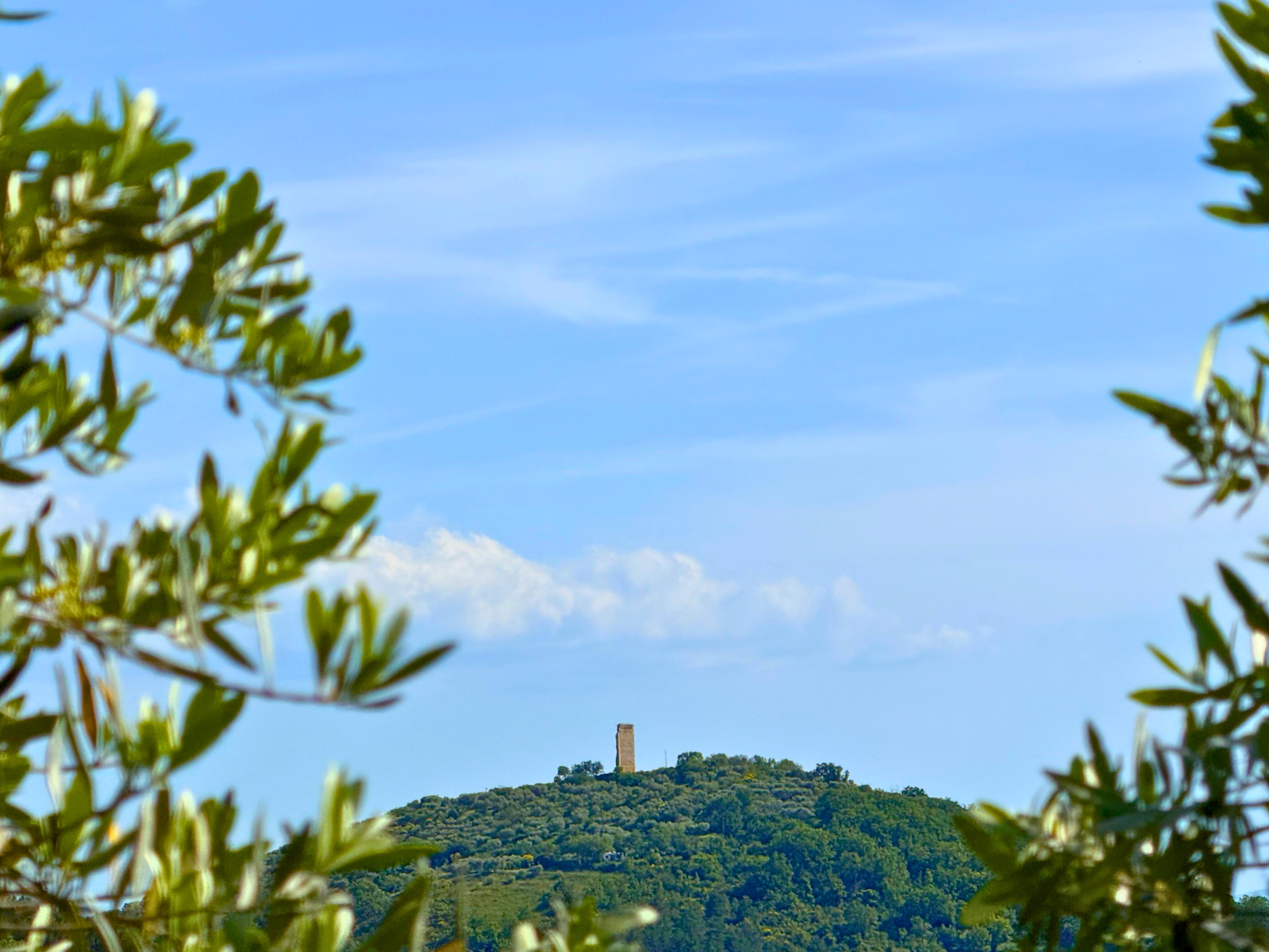 Image_12, Propriete, Manosque, ref :2330-26