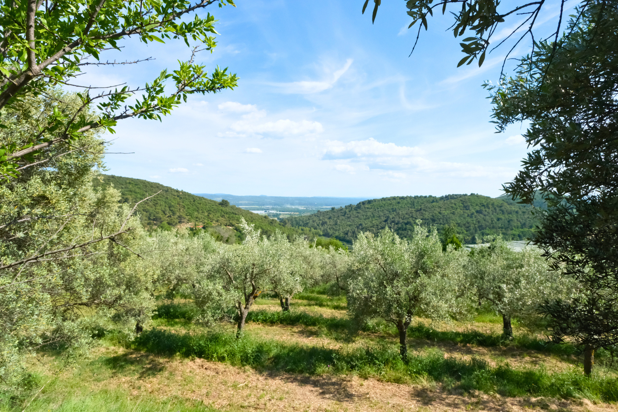 Image_9, Propriete, Manosque, ref :2330-26
