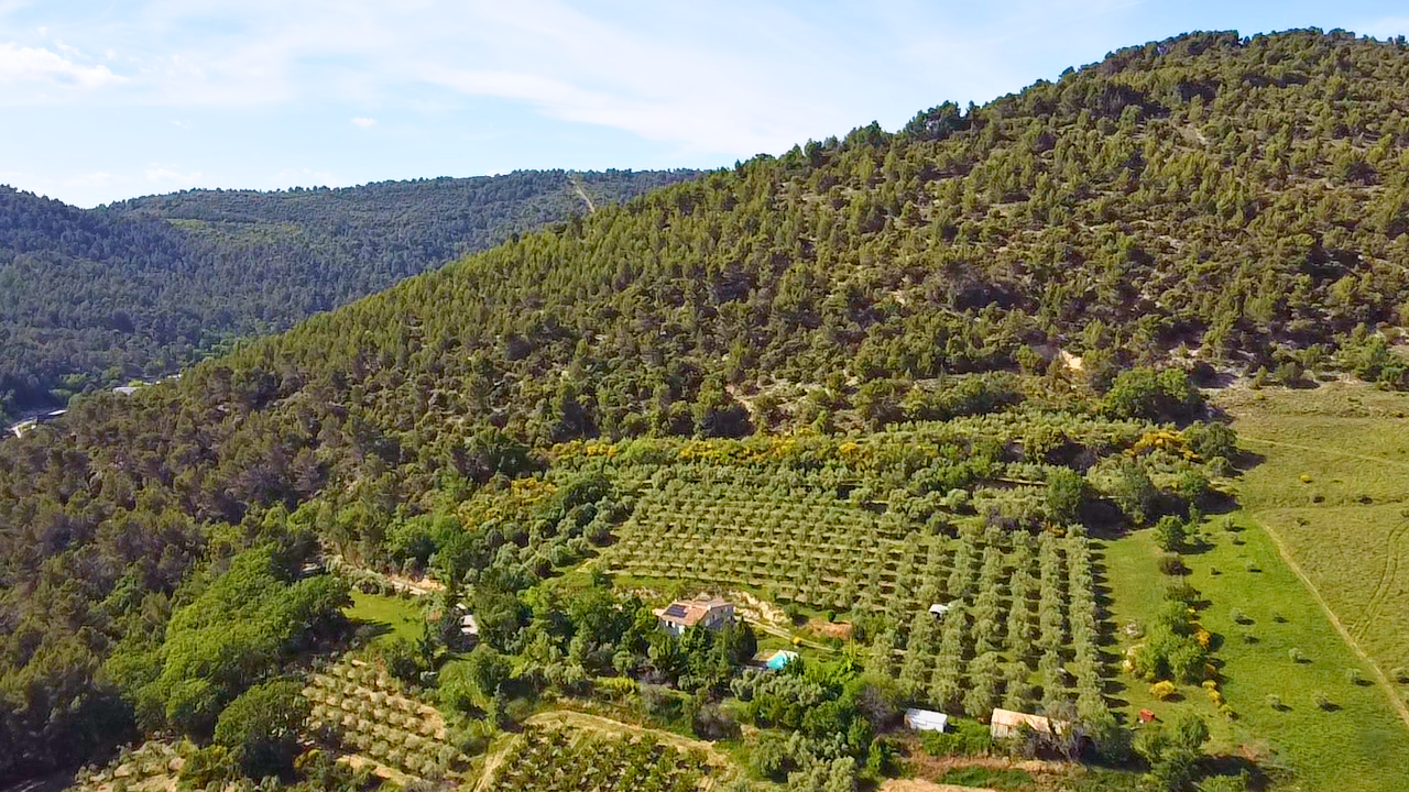 Image_2, Propriete, Manosque, ref :2330-26