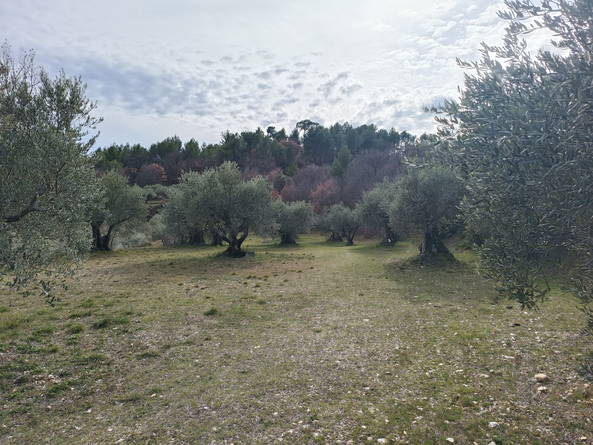 Image_2, Terrain, Volx, ref :1820-23