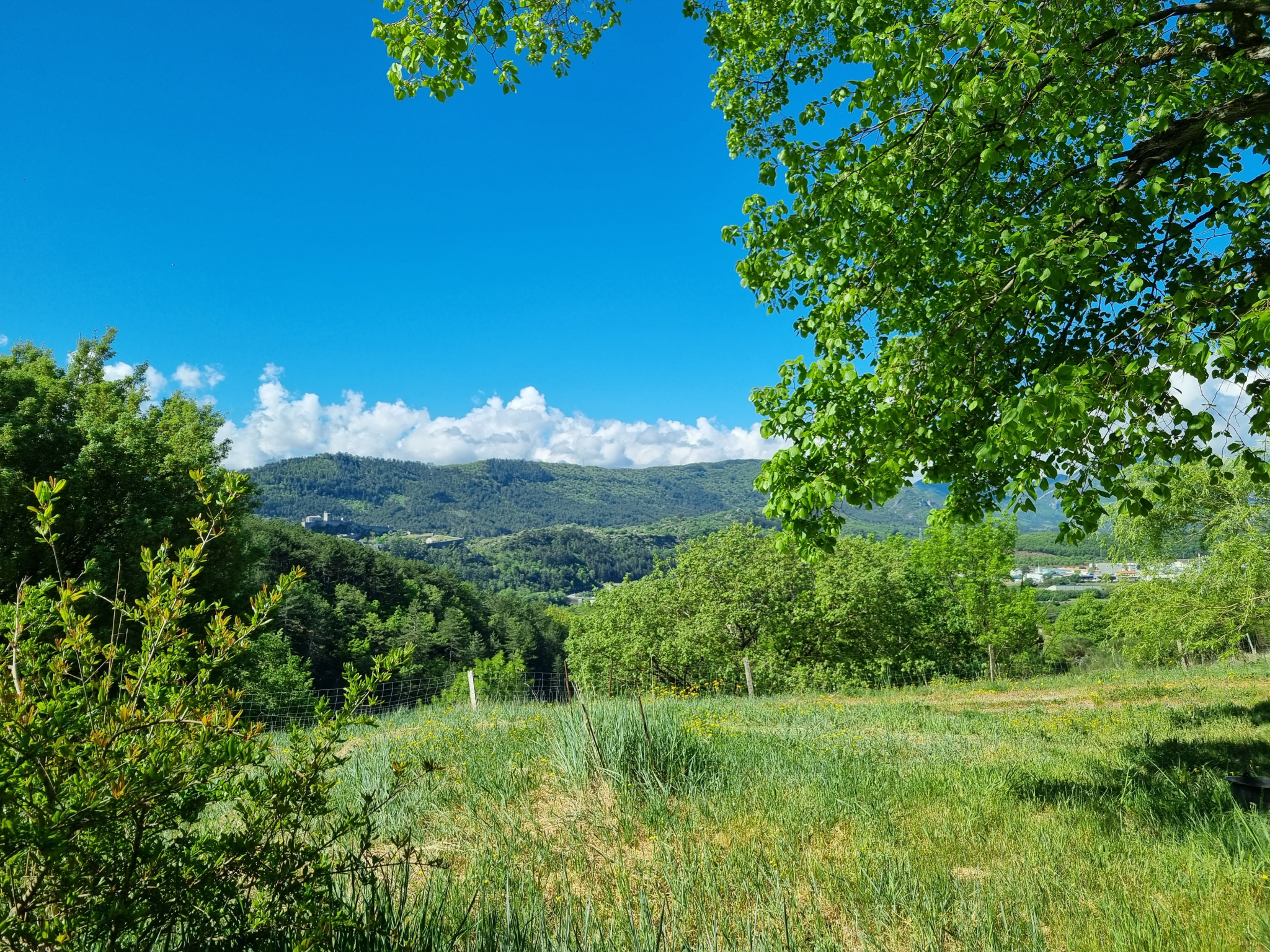 Image_4, Propriete, Sisteron, ref :2312-26