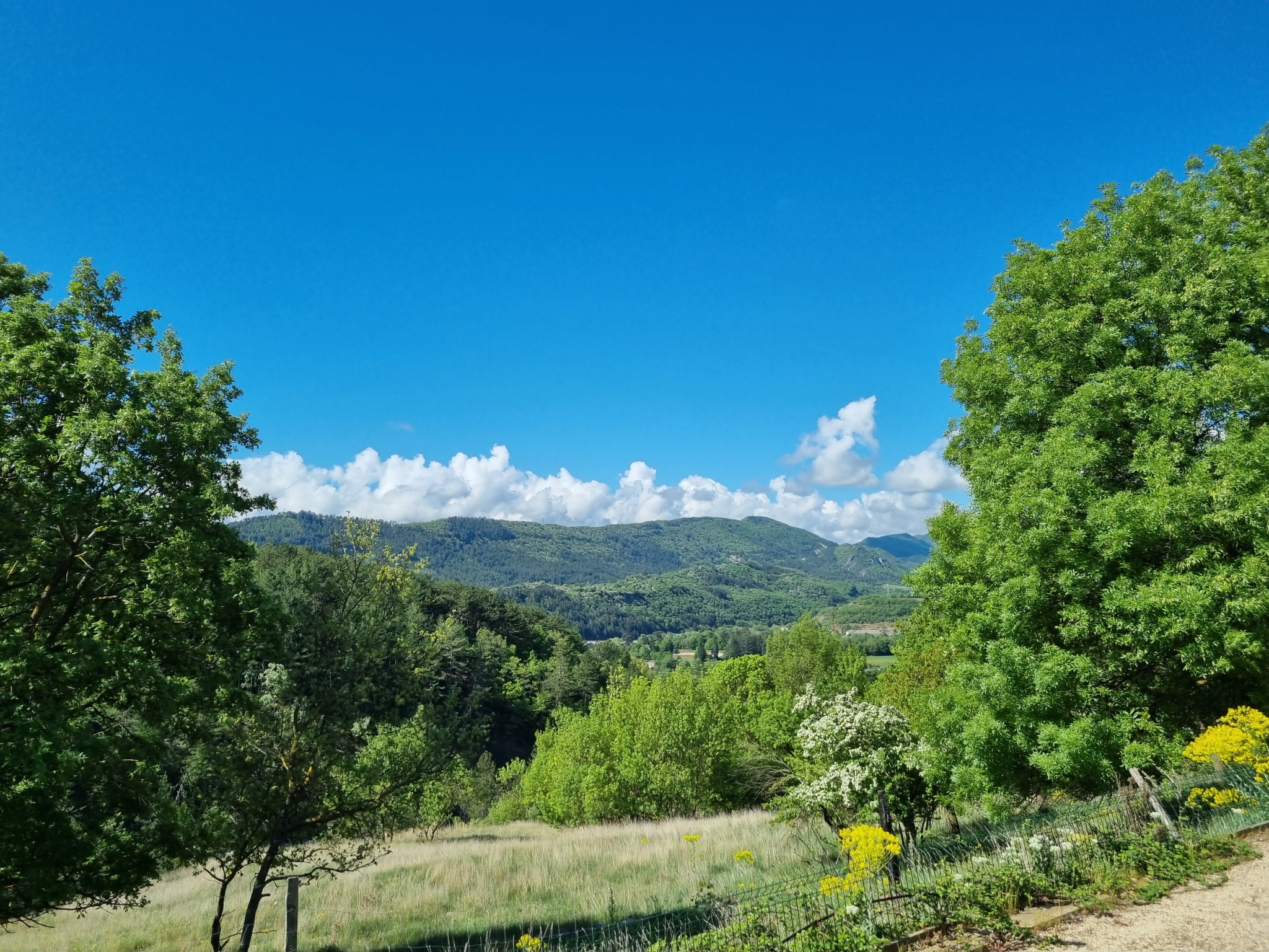 Image_30, Propriete, Sisteron, ref :2312-26