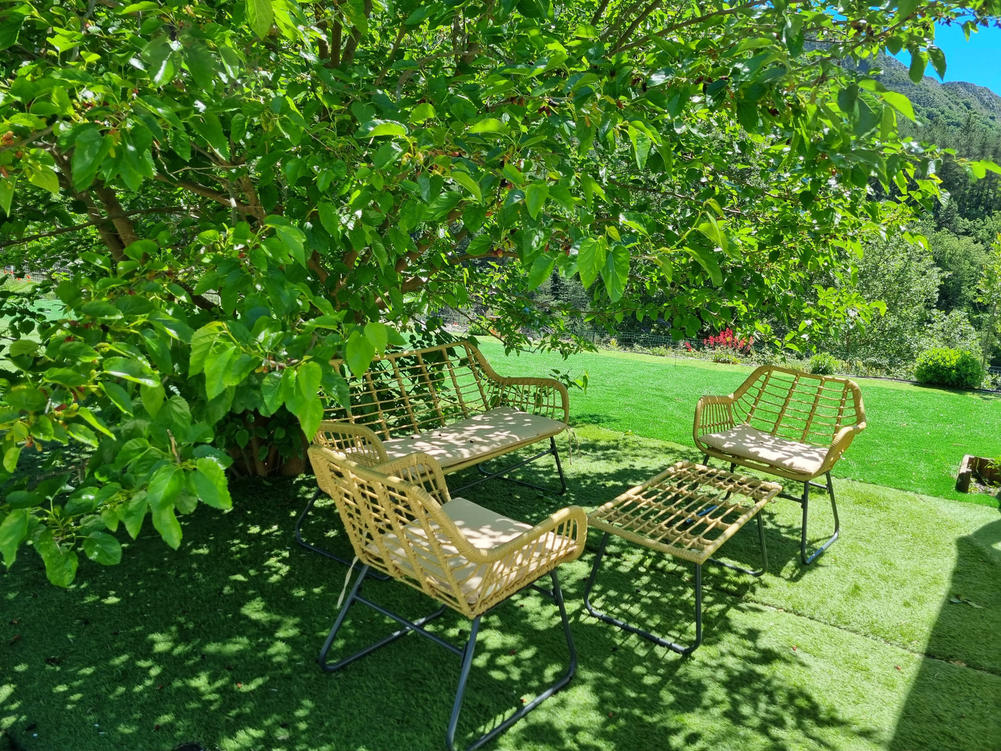 Image_6, Propriete, Sisteron, ref :2312-26