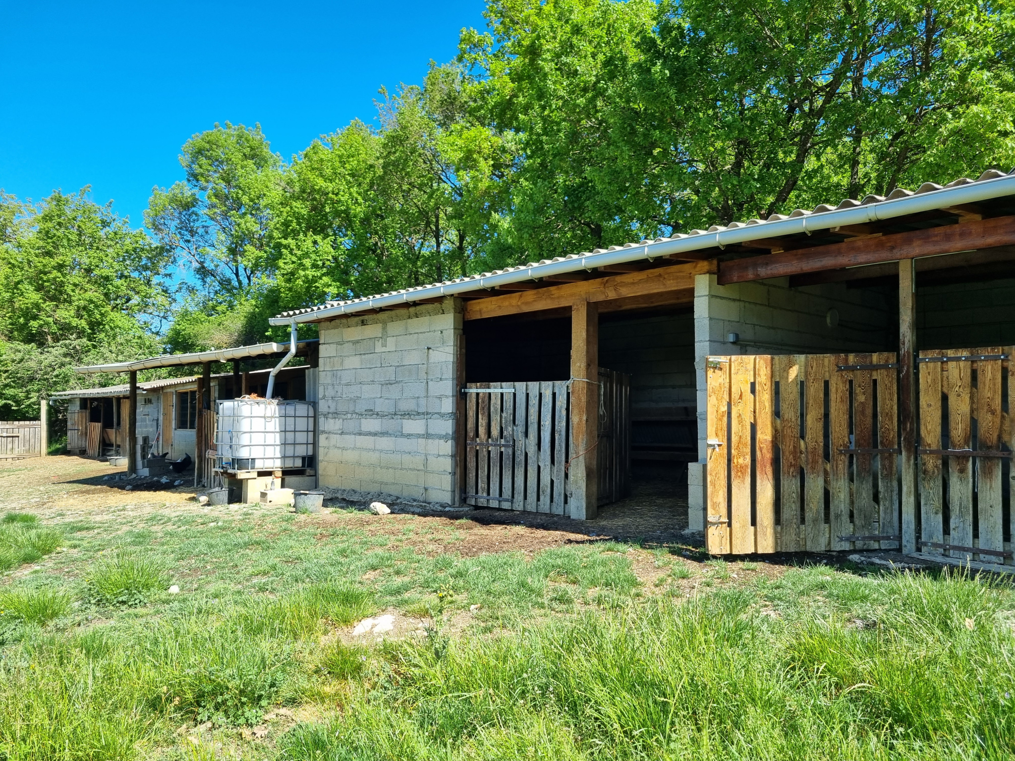 Image_29, Propriete, Sisteron, ref :2312-26