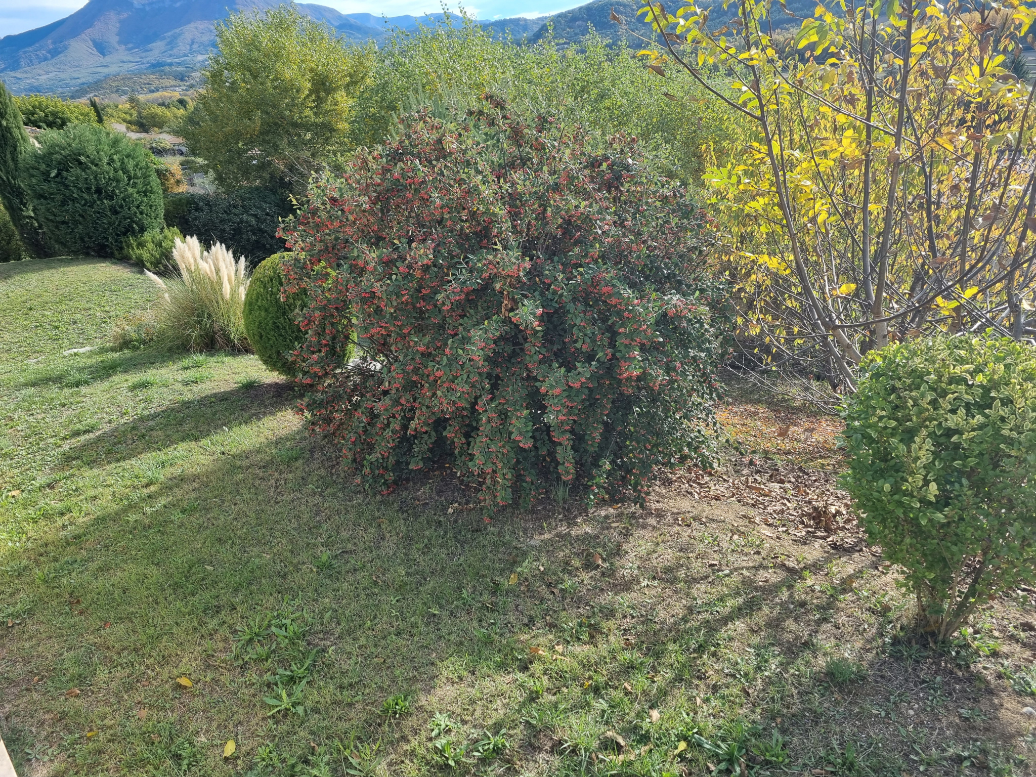 Image_6, Maison, Mallemoisson, ref :2242-25