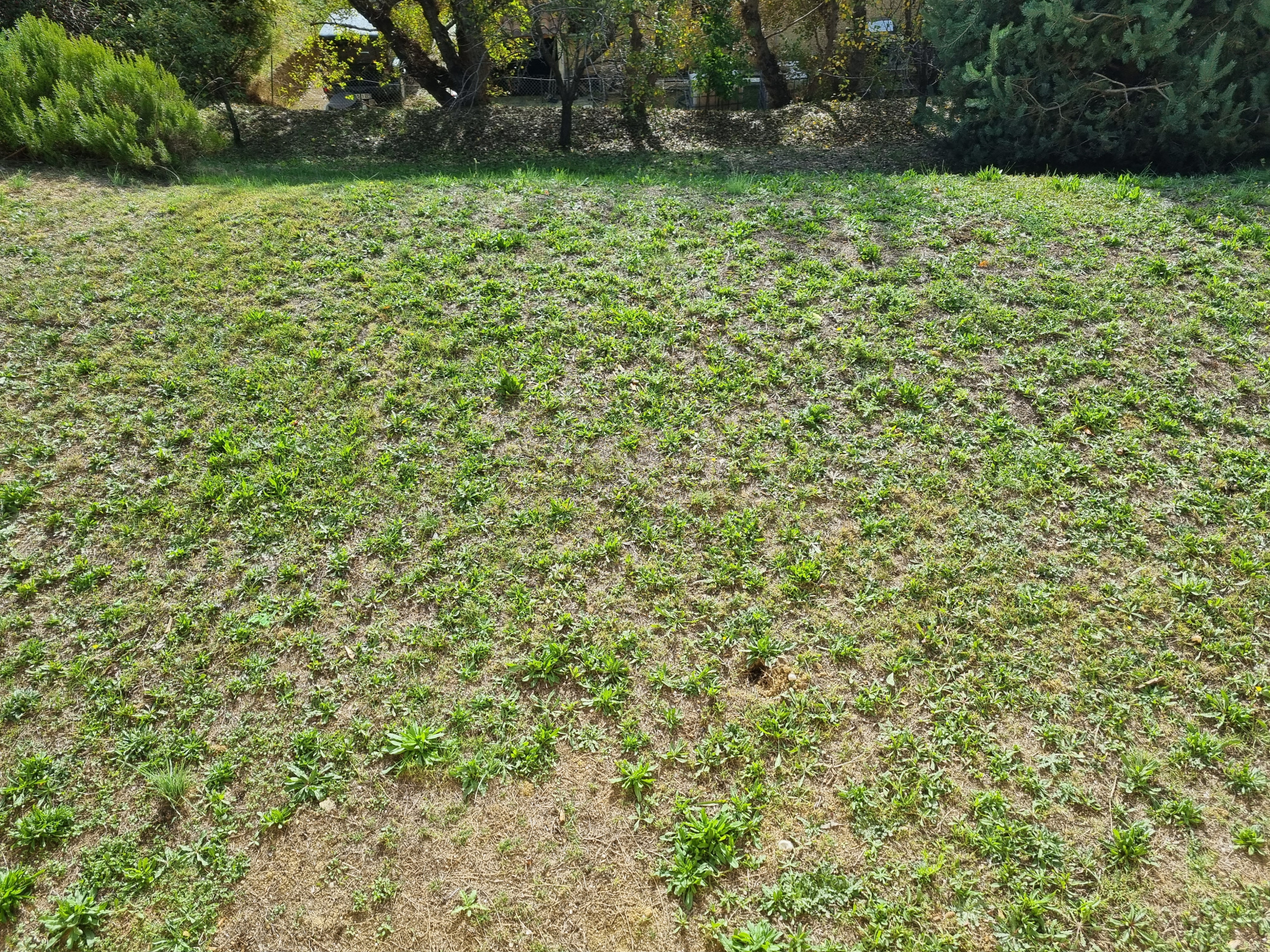 Image_7, Maison, Mallemoisson, ref :2242-25