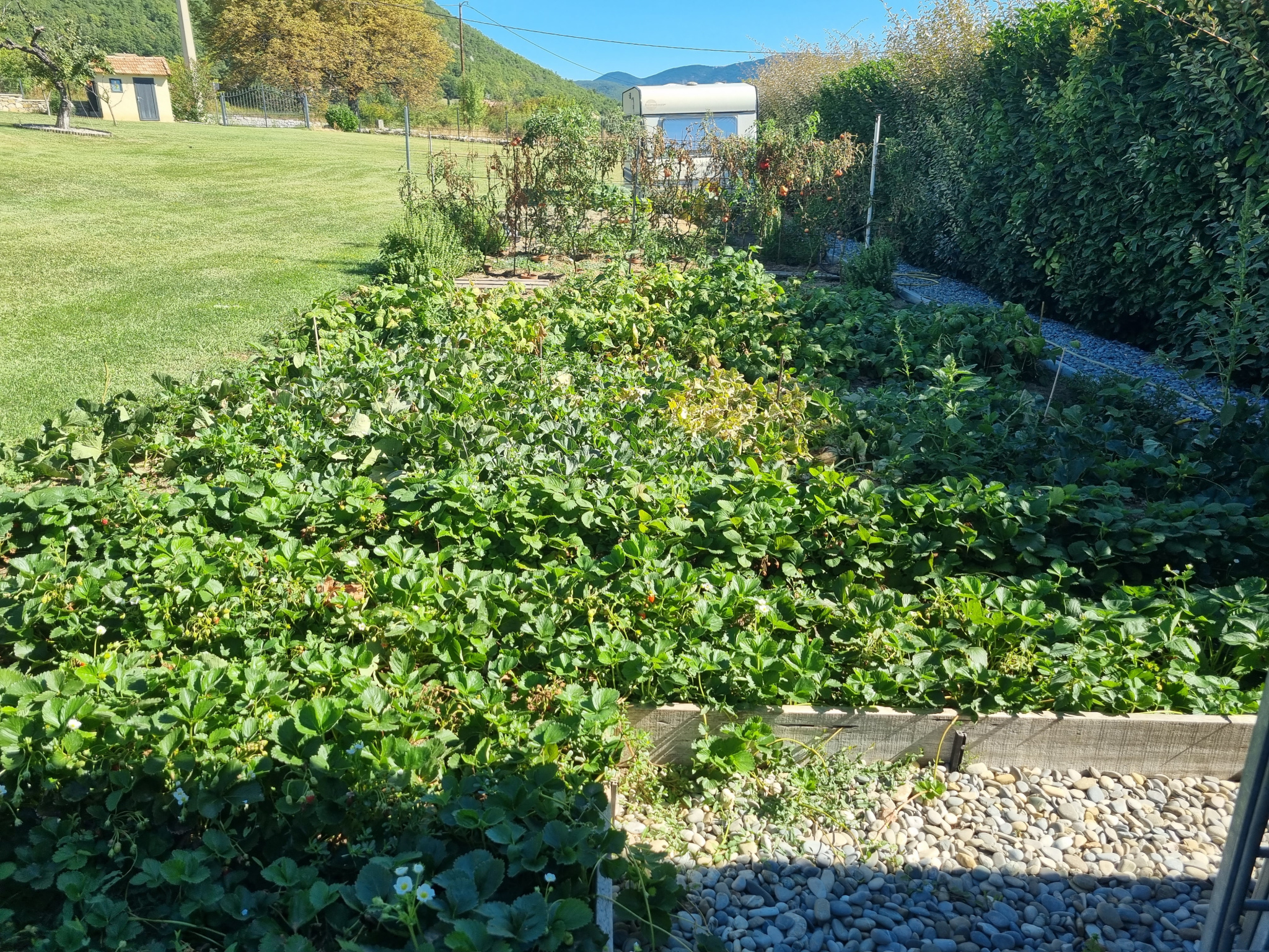 Image_8, Maison, Forcalquier, ref :2373-26