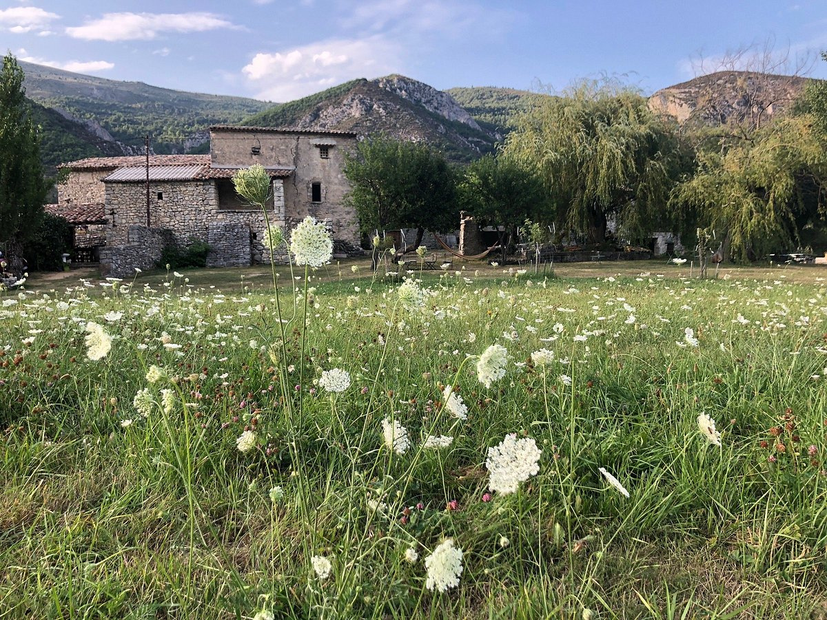 Image_22, Maison, Sisteron, ref :2052-24