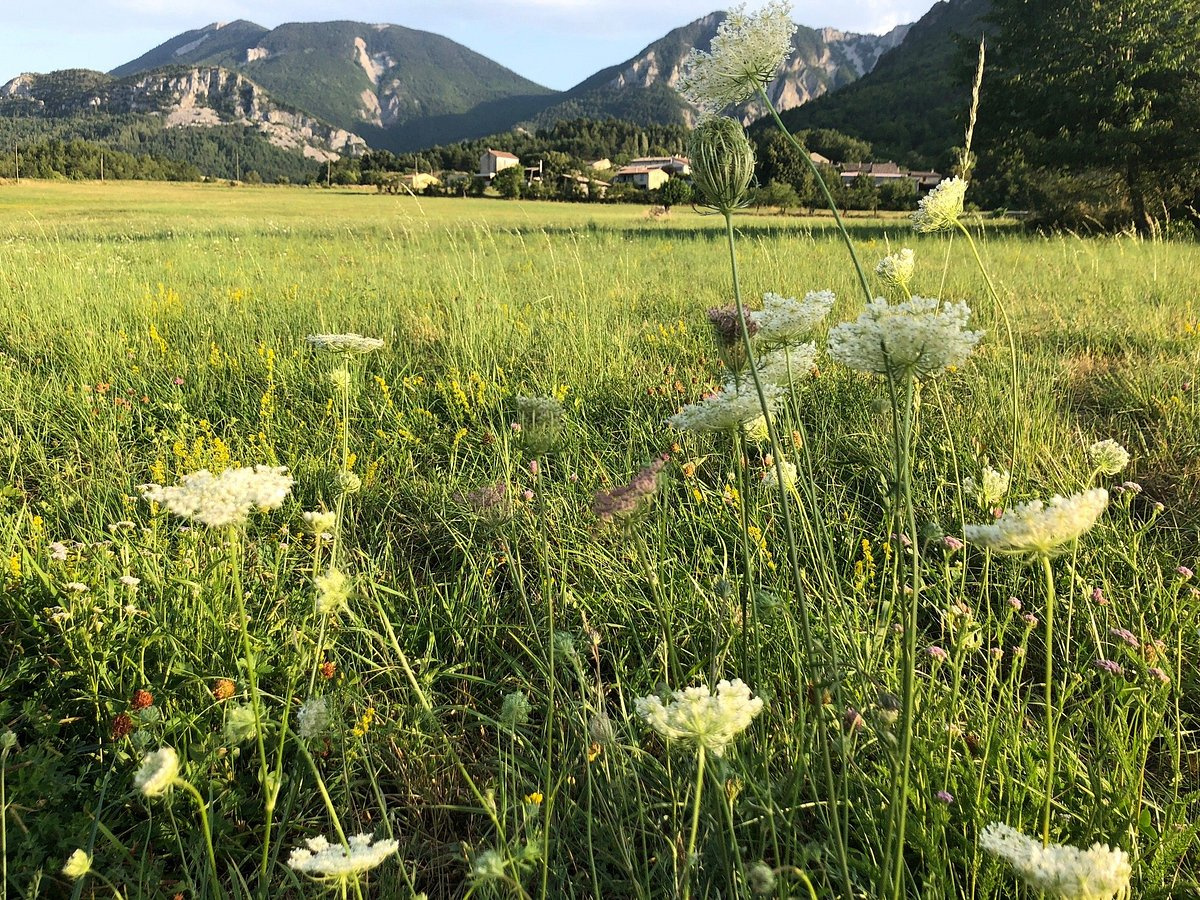 Image_3, Maison, Sisteron, ref :2052-24