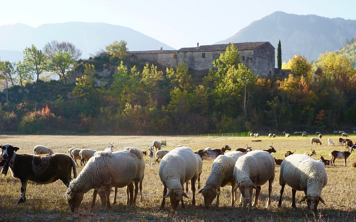 Image_6, Maison, Sisteron, ref :2052-24