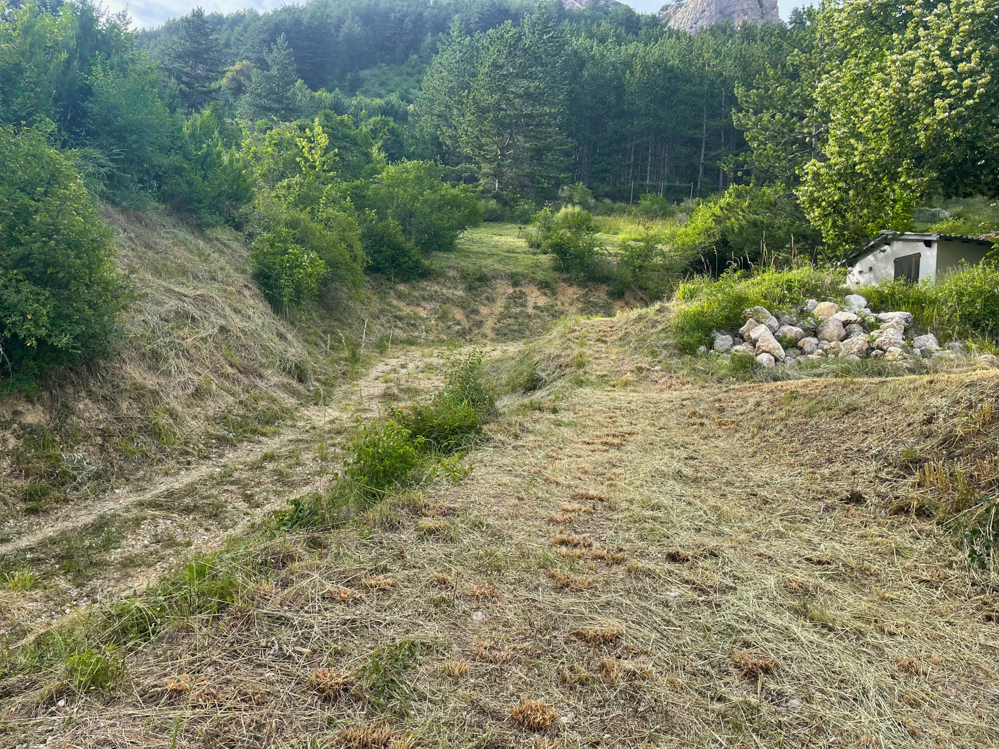 Image_5, Terrain à batir, Serres, ref :2372-26