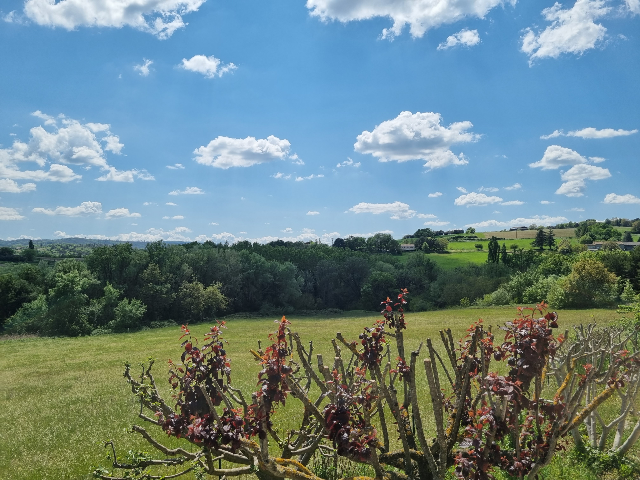 Image_2, Maison, Forcalquier, ref :2145-25