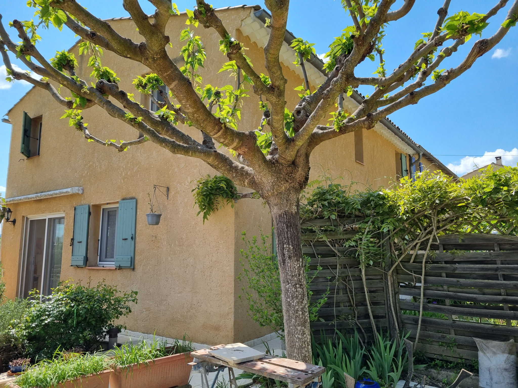 Image_1, Maison, Forcalquier, ref :2145-25
