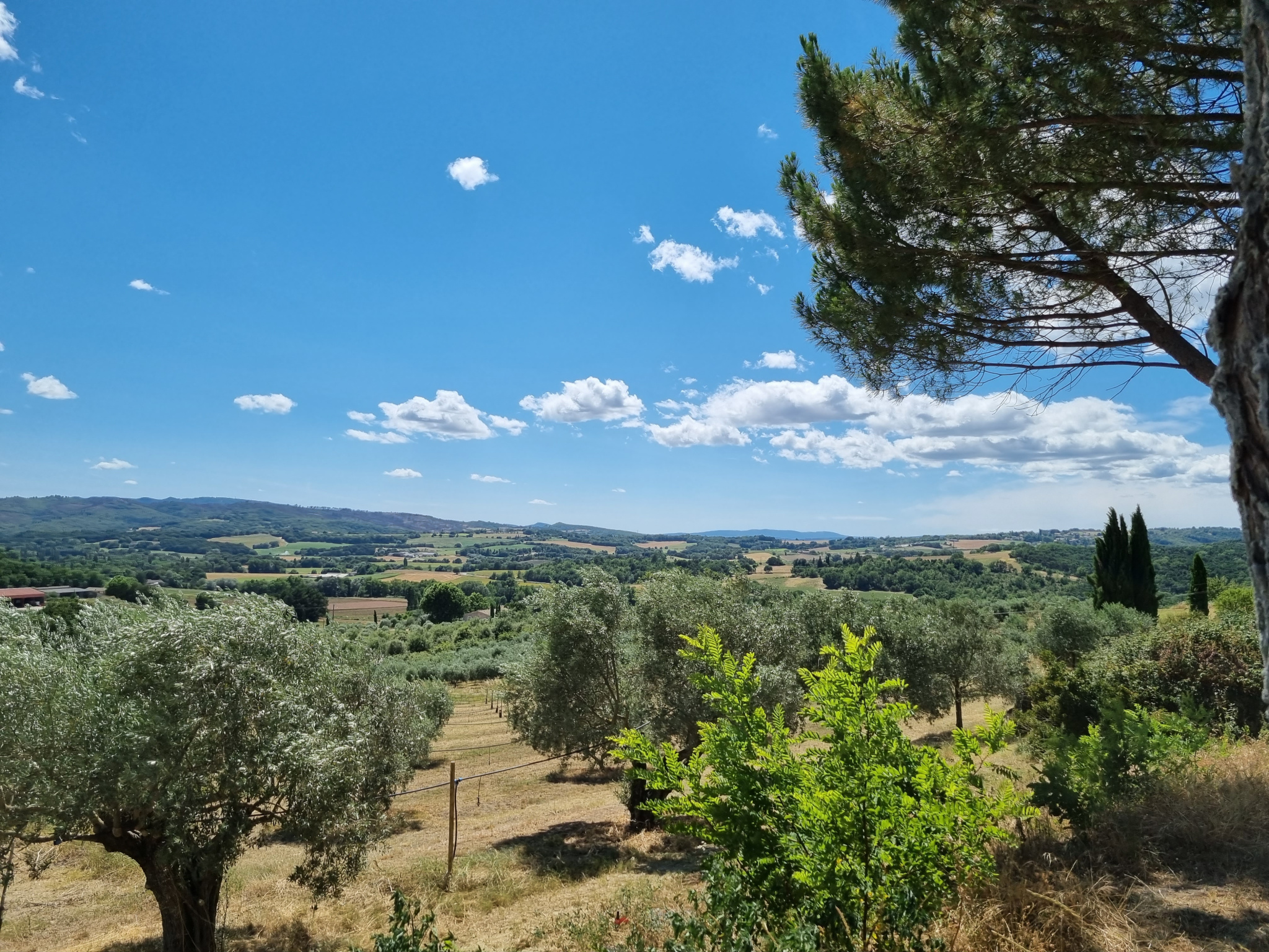 Image_21, Propriete, Forcalquier, ref :1881-23