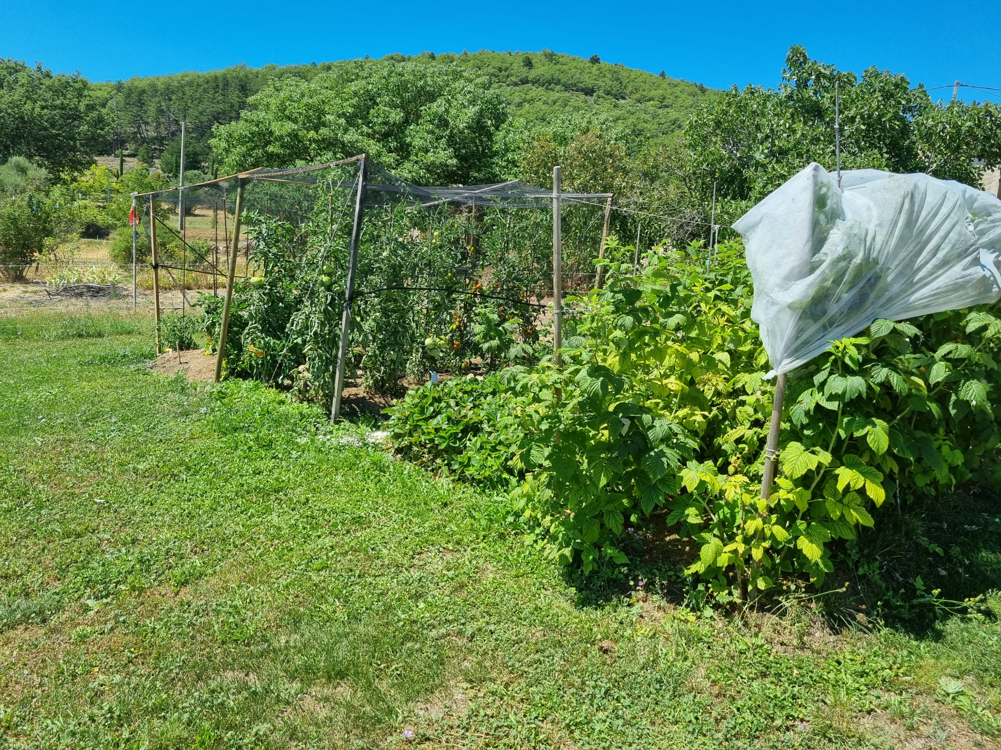 Image_4, Maison, Forcalquier, ref :2345-26