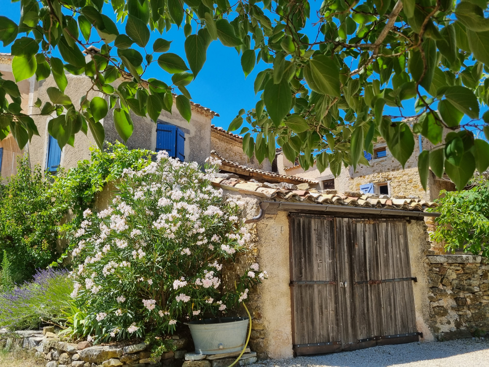 Image_6, Maison, Forcalquier, ref :2345-26