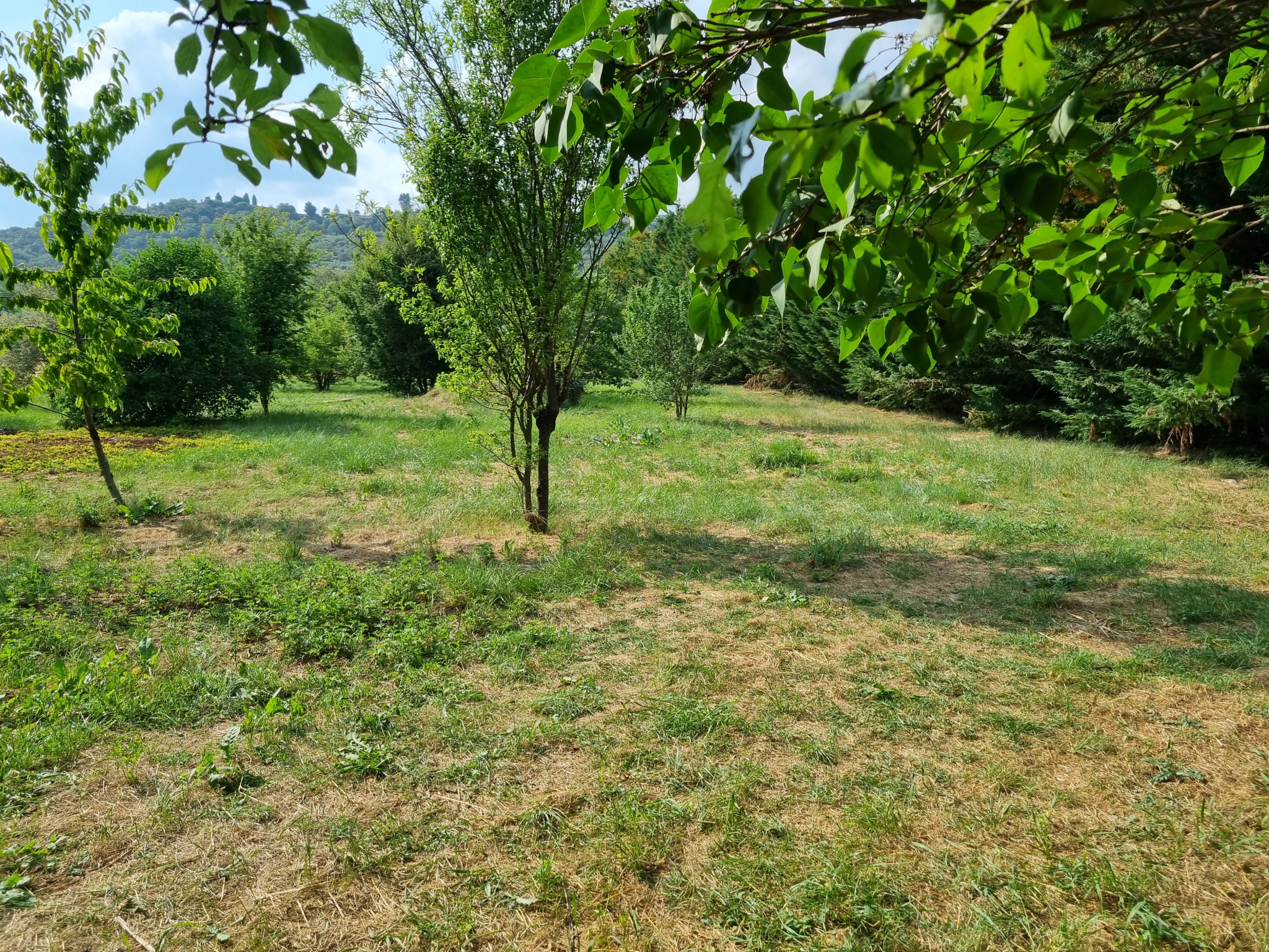 Image_5, Maison, Lurs, ref :2090-25