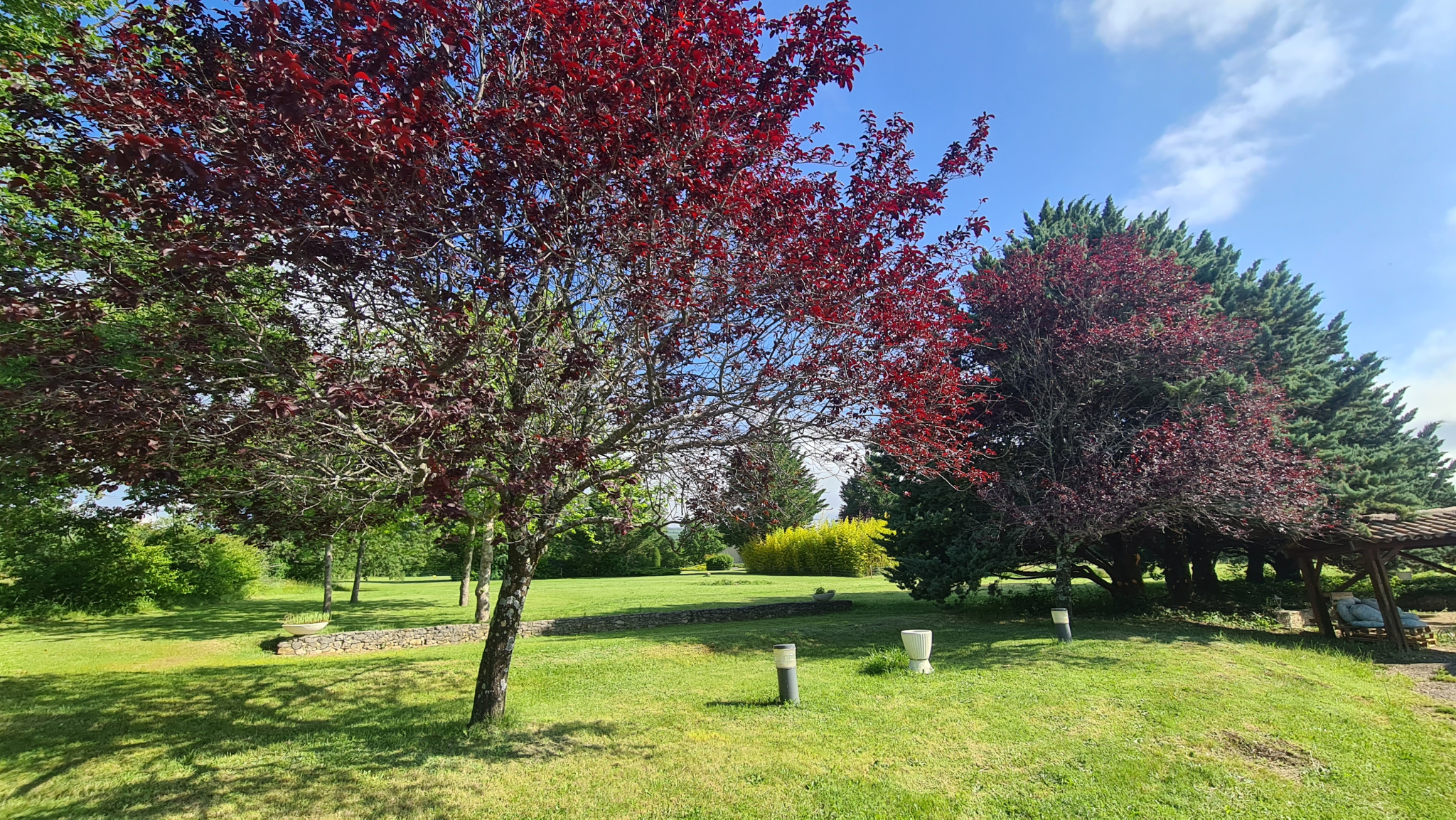 Image_2, Murs et fonds de commerce, Forcalquier, ref :2298-2299-26