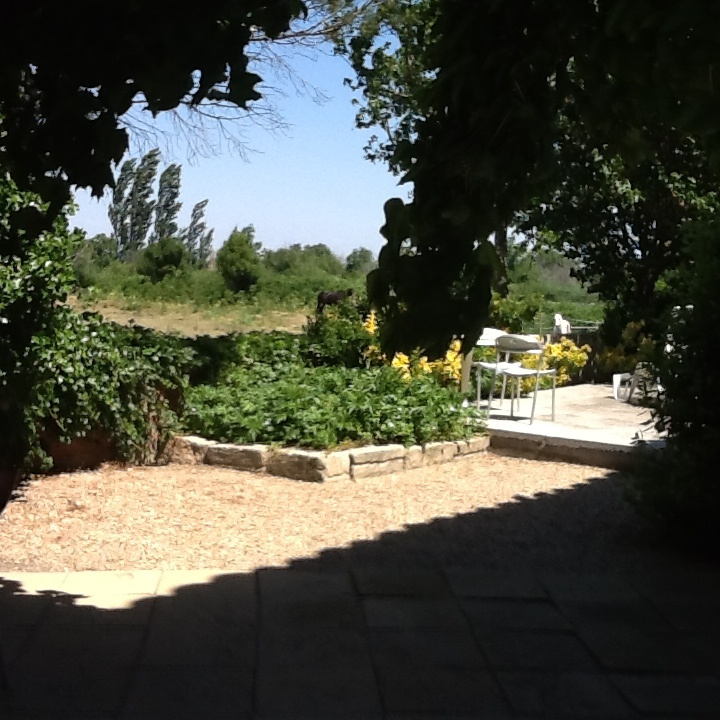 Image_11, Mas, Arles, ref :1651/21