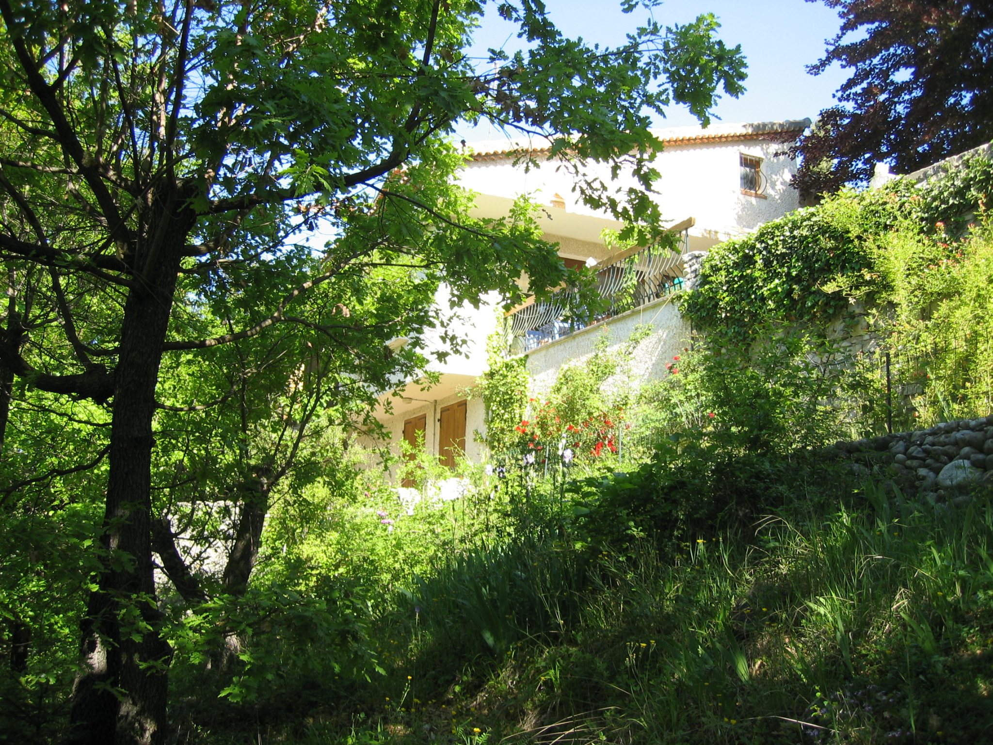 Image_1, Maison, Laragne-Montéglin, ref :2333-26