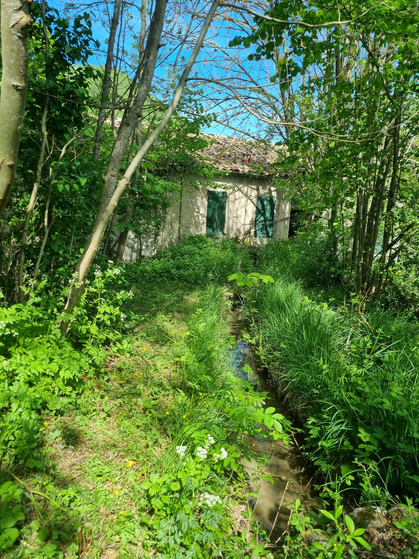 Image_15, Maison, Sisteron, ref :2285-26