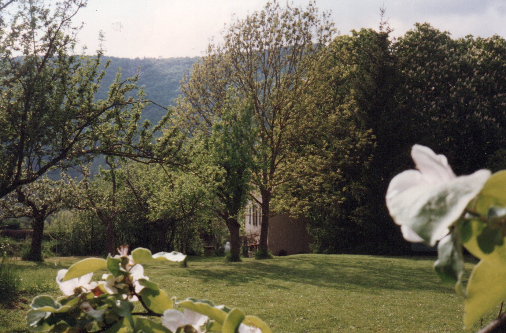 Image_4, Maison, Sisteron, ref :2285-26