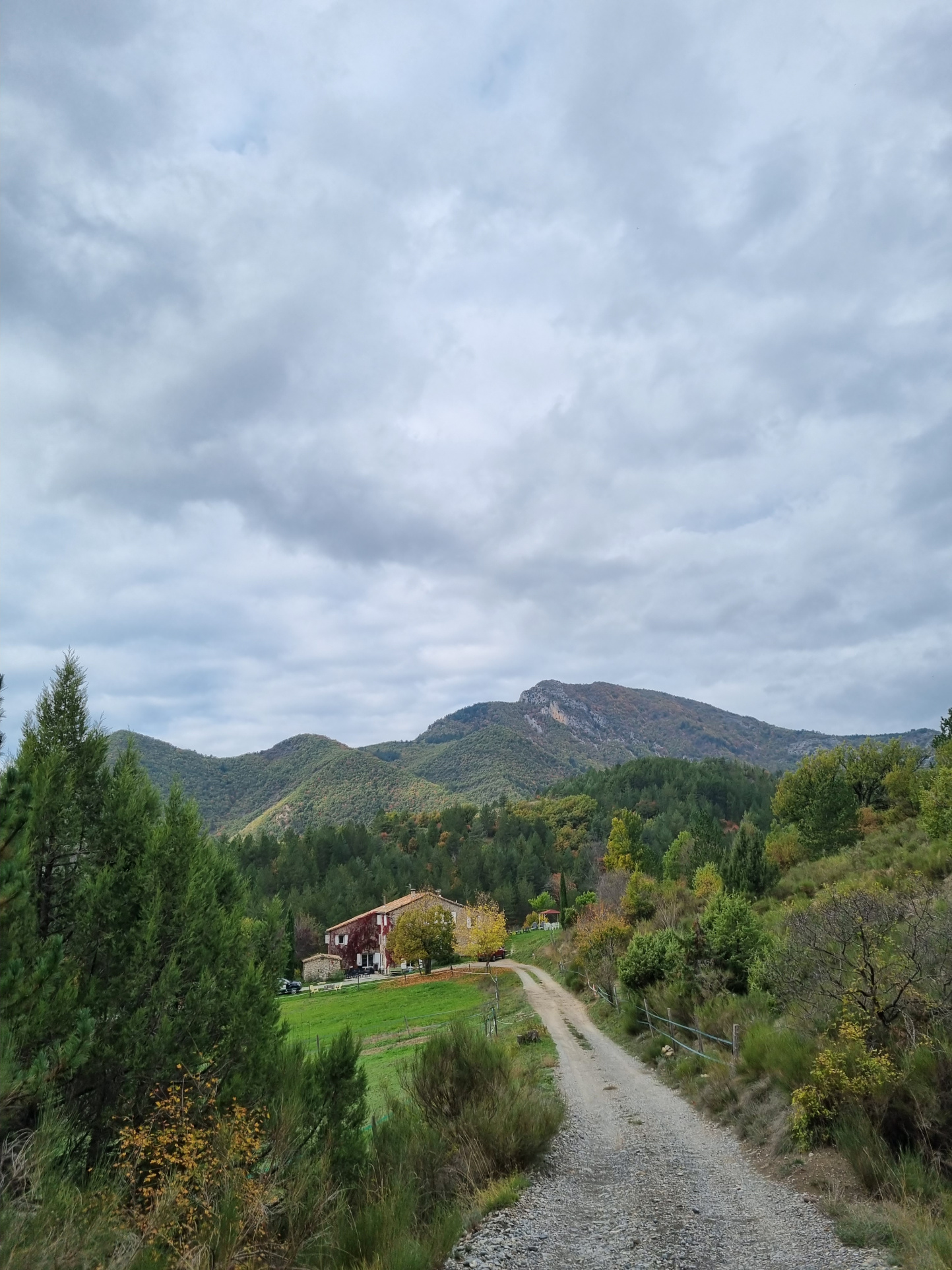 Image_26, Propriete, Sisteron, ref :2232-2233-2234-25