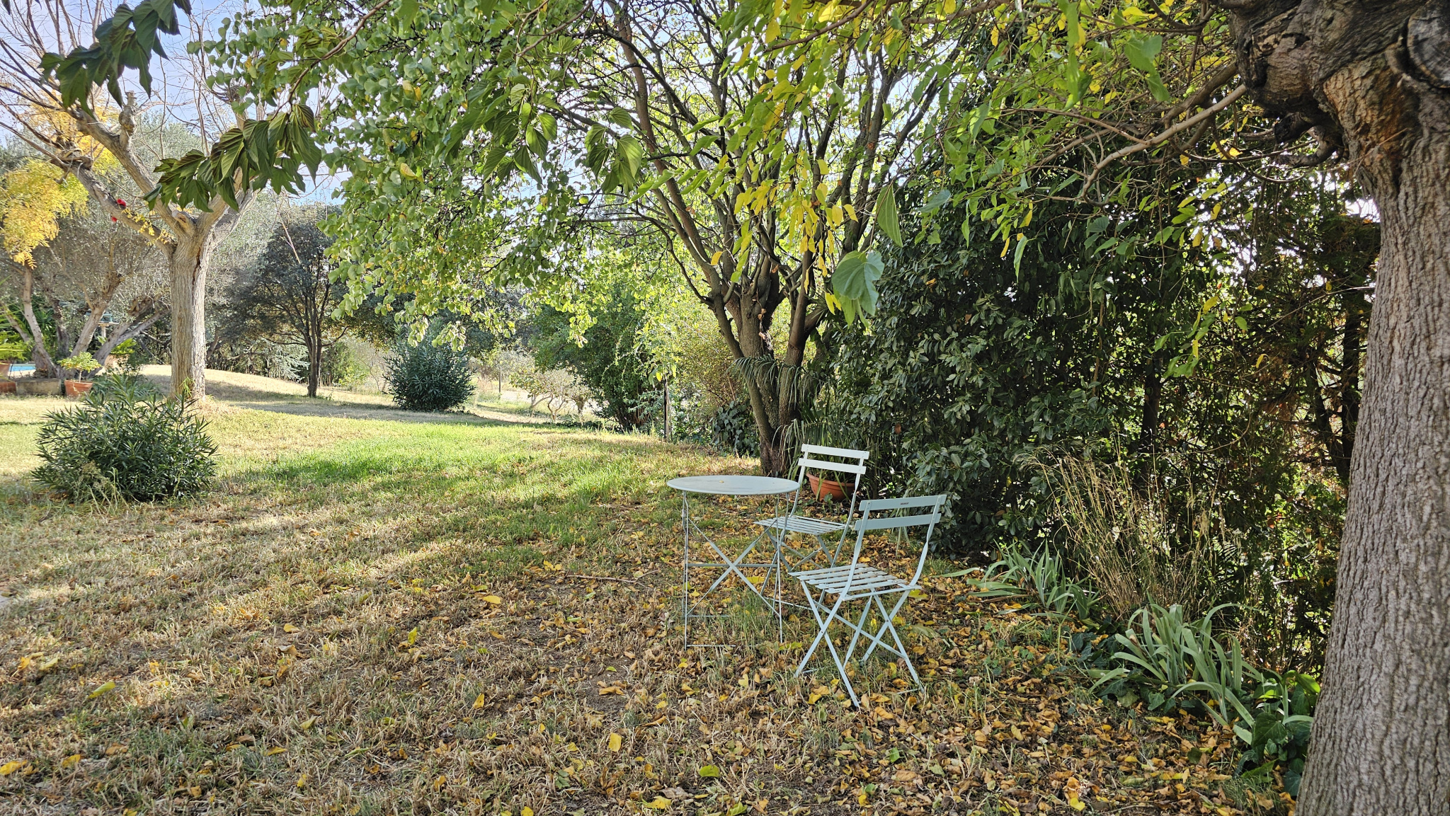 Image_5, Maison, Saint-Gilles, ref :2224-25