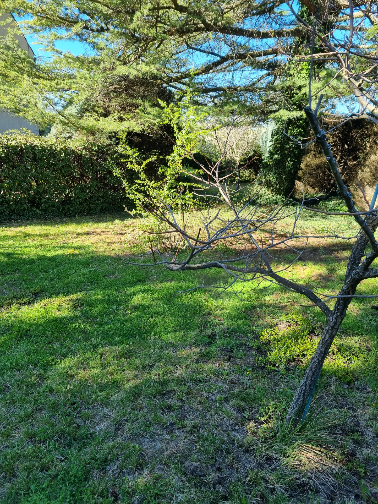 Image_2, Maison, Aubignosc, ref :2305-26