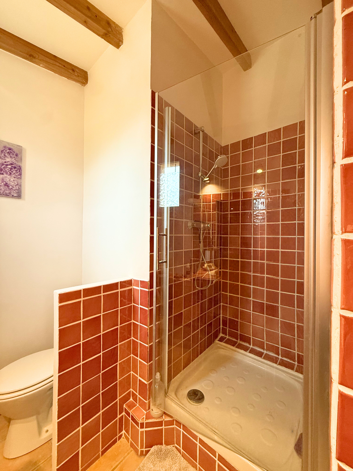Image_9, Maison, Barret-sur-Méouge, ref :2341-26
