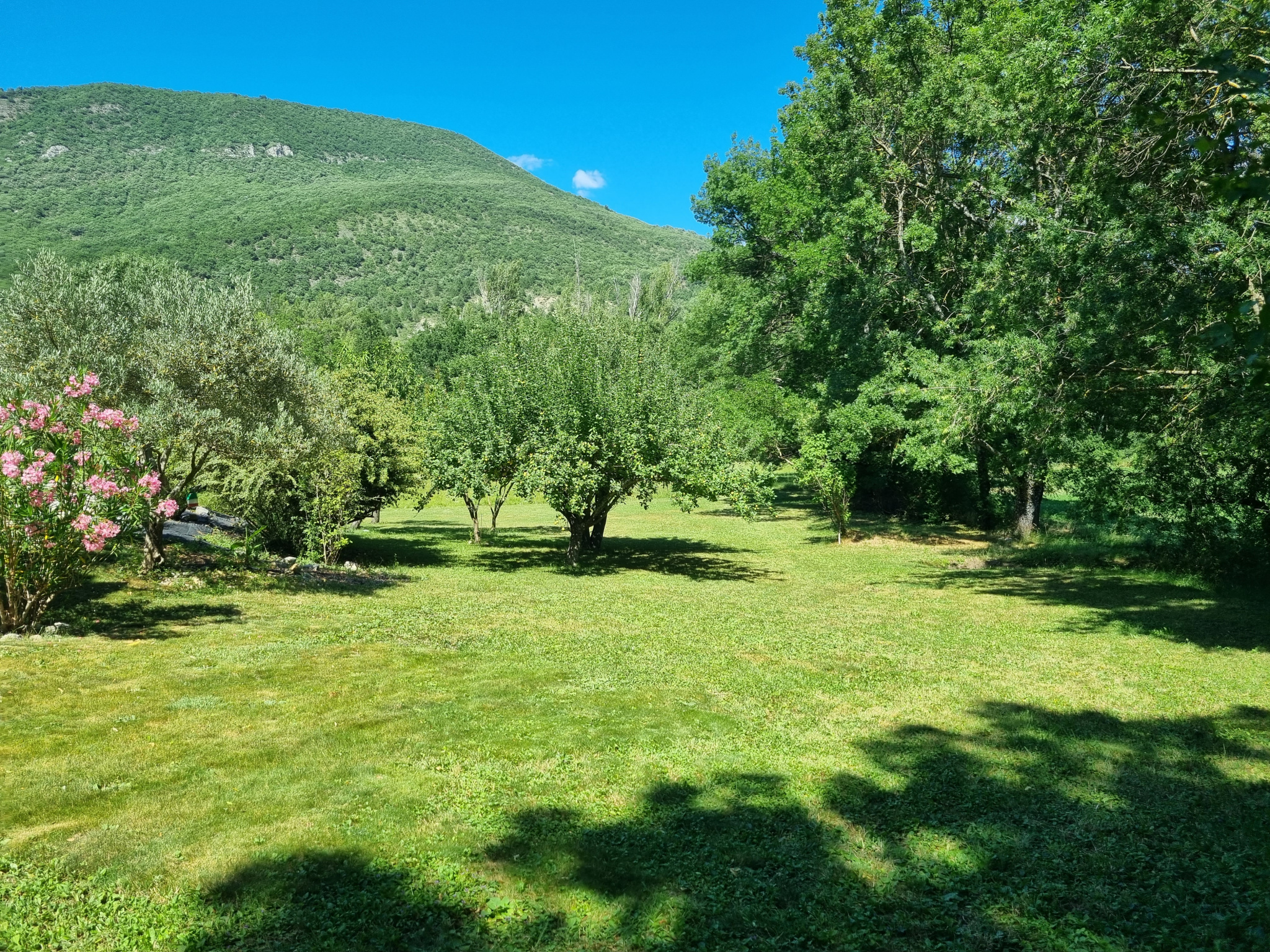 Image_7, Maison, Sisteron, ref :2344-26