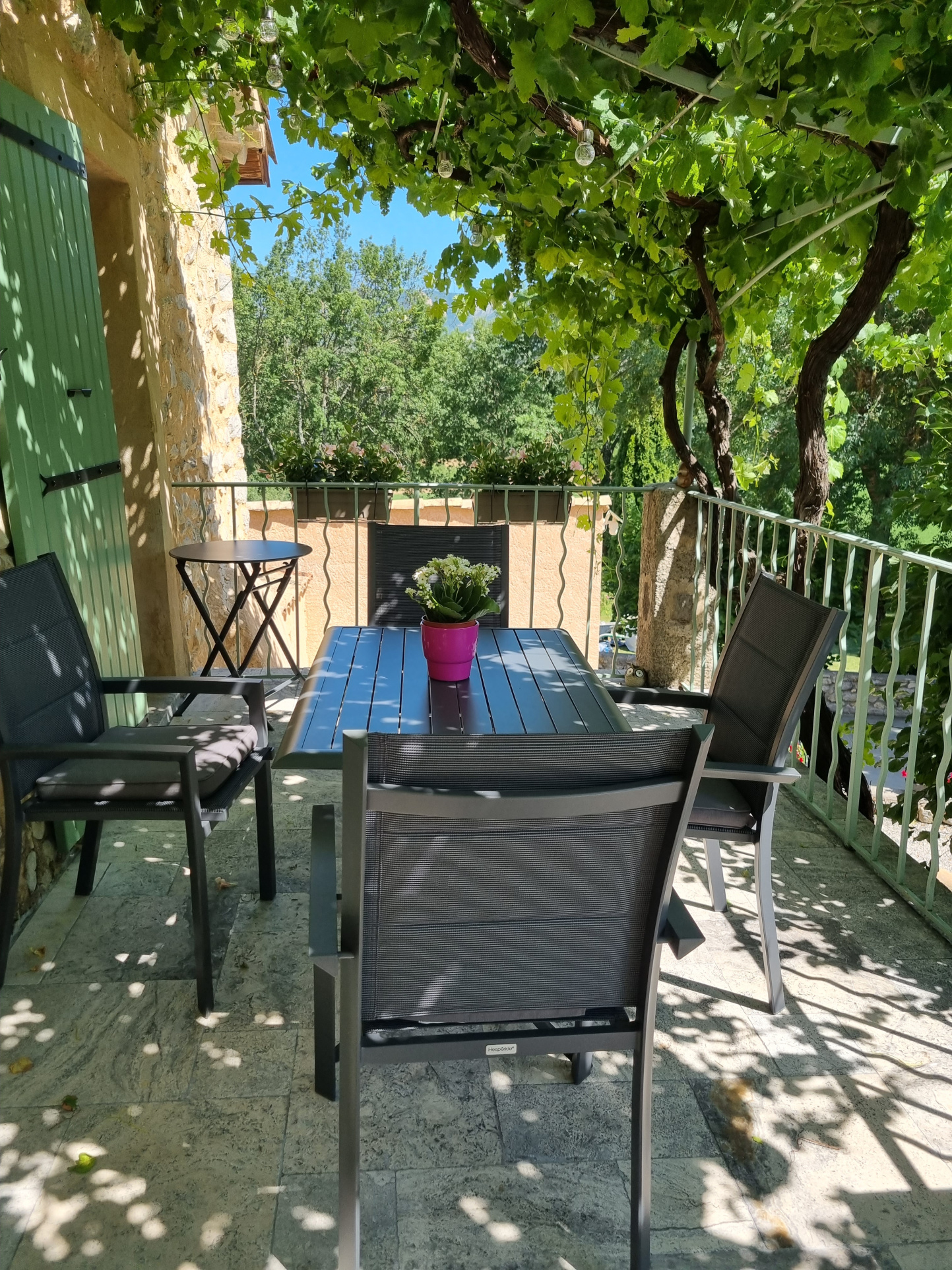 Image_8, Maison, Sisteron, ref :2344-26