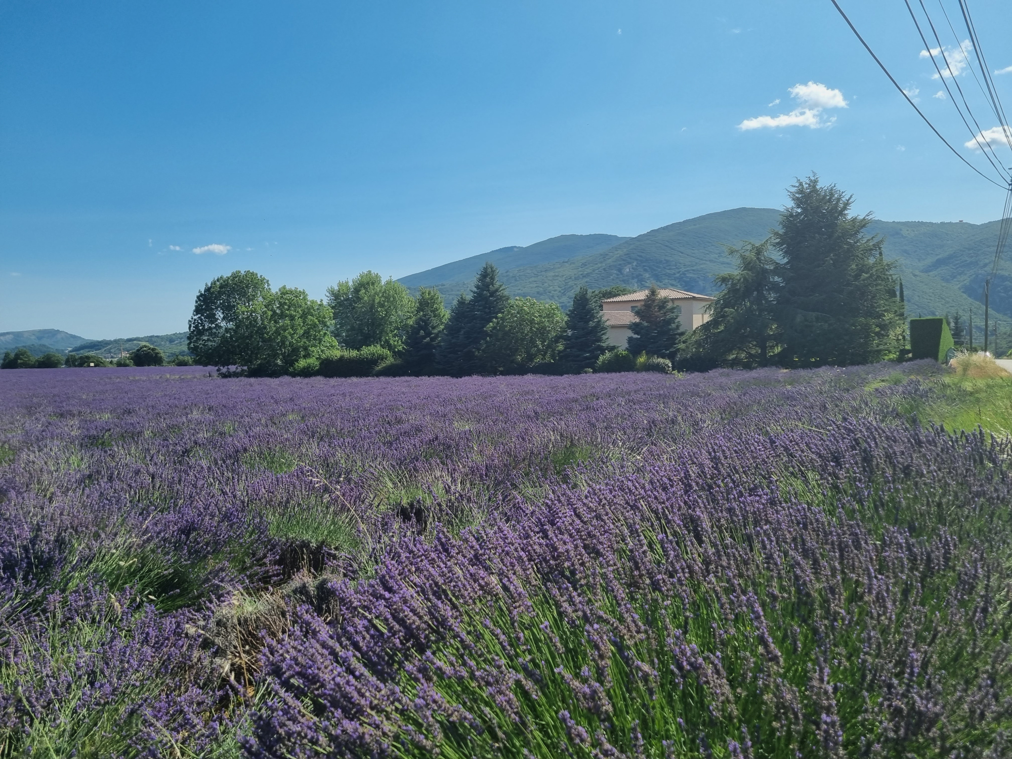 Image_2, Maison, Sisteron, ref :2316-26