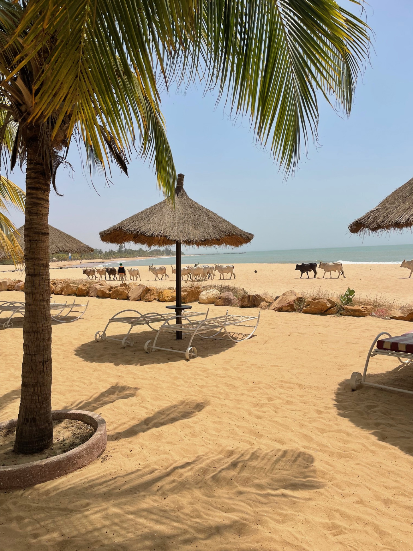 Image_2, Maison, Saly, ref :2263-25