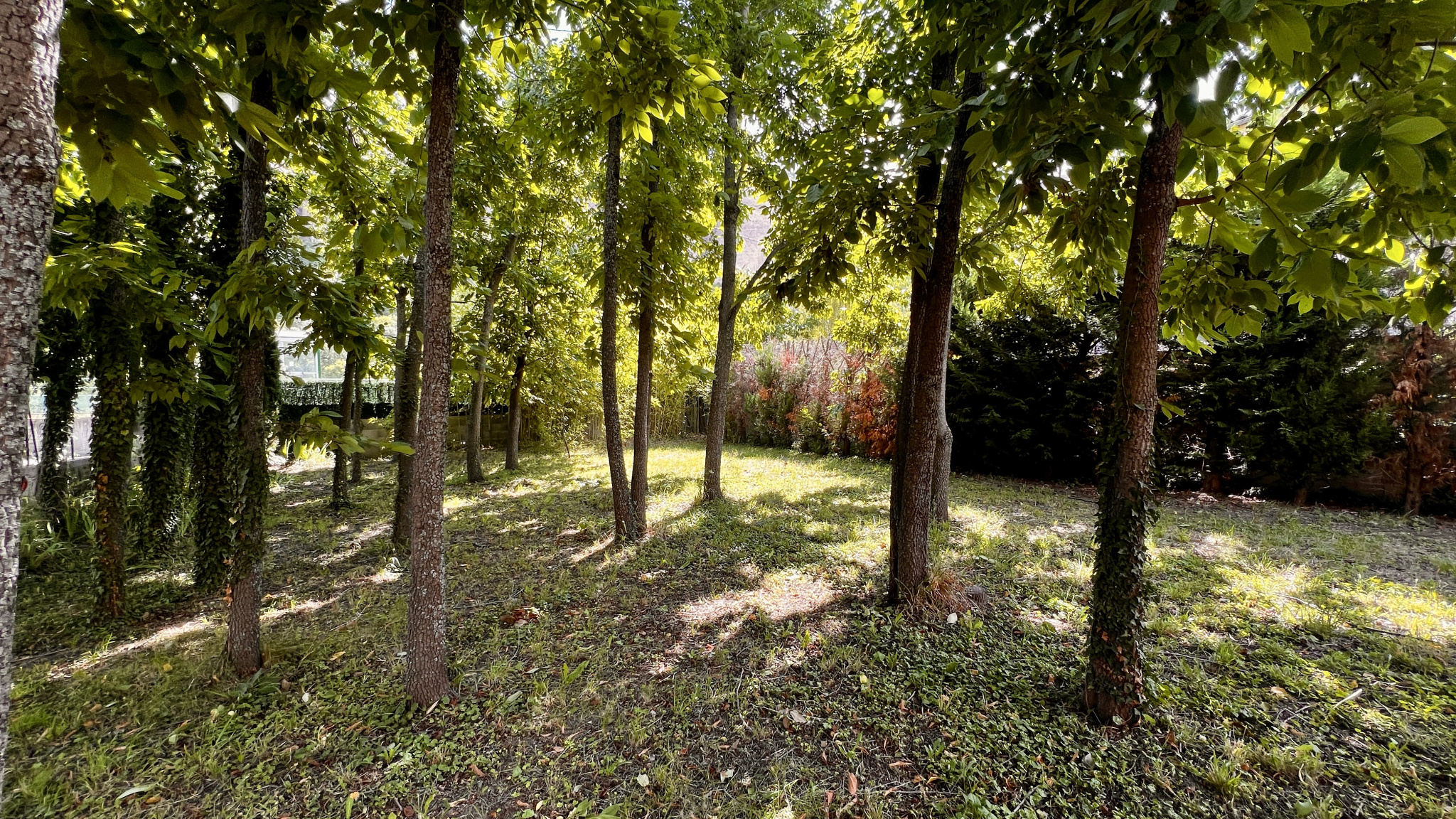 Image_3, Maison, Mées, ref :2194-25C