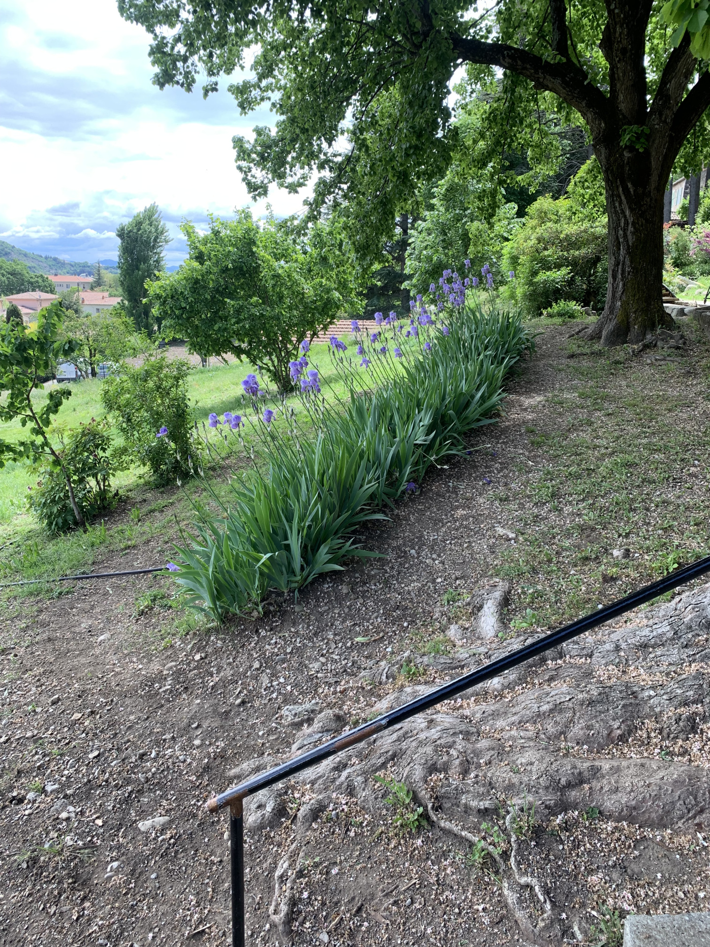 Image_23, Maison, Sisteron, ref :2062-24