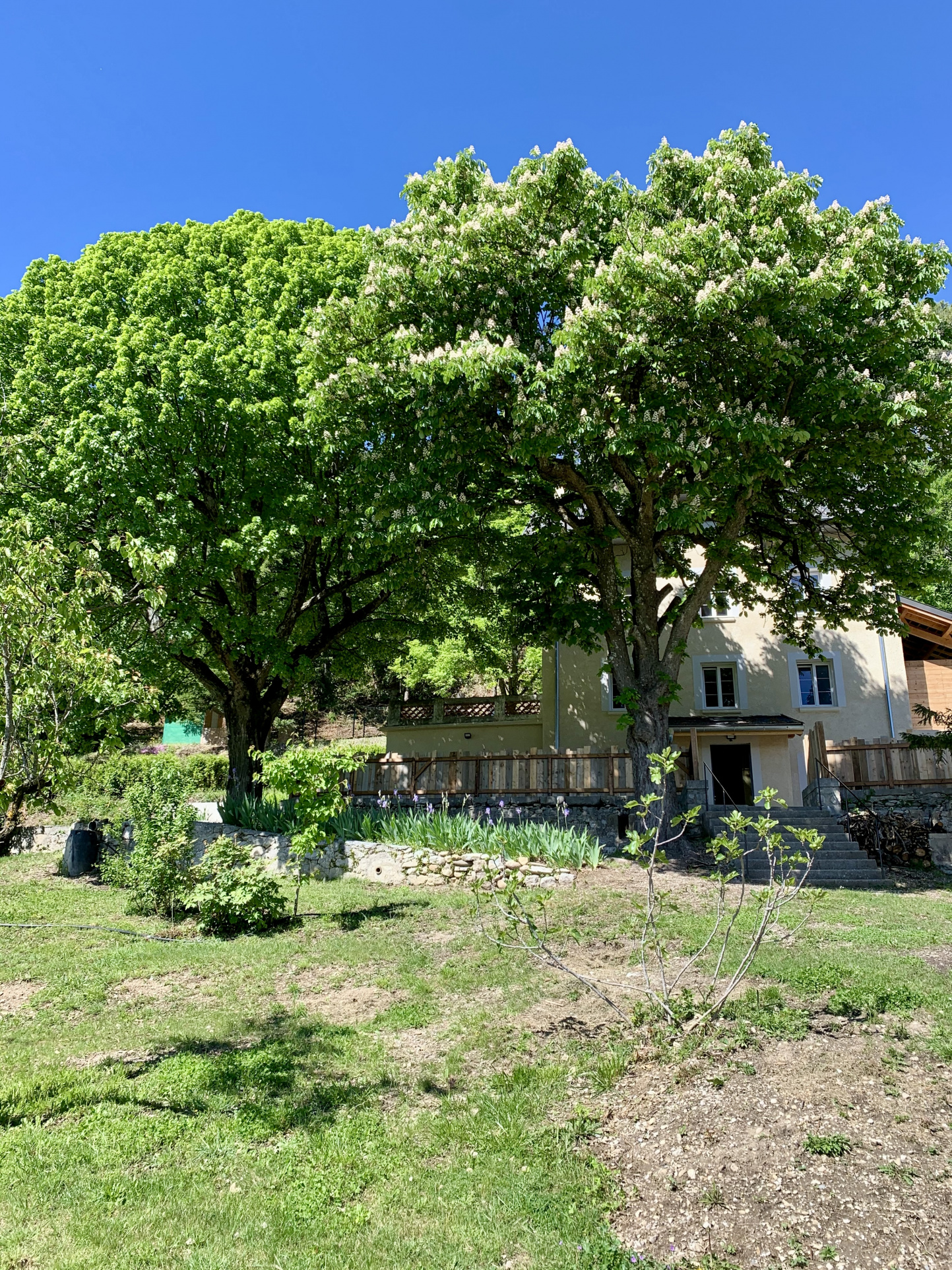 Image_3, Maison, Sisteron, ref :2062-24