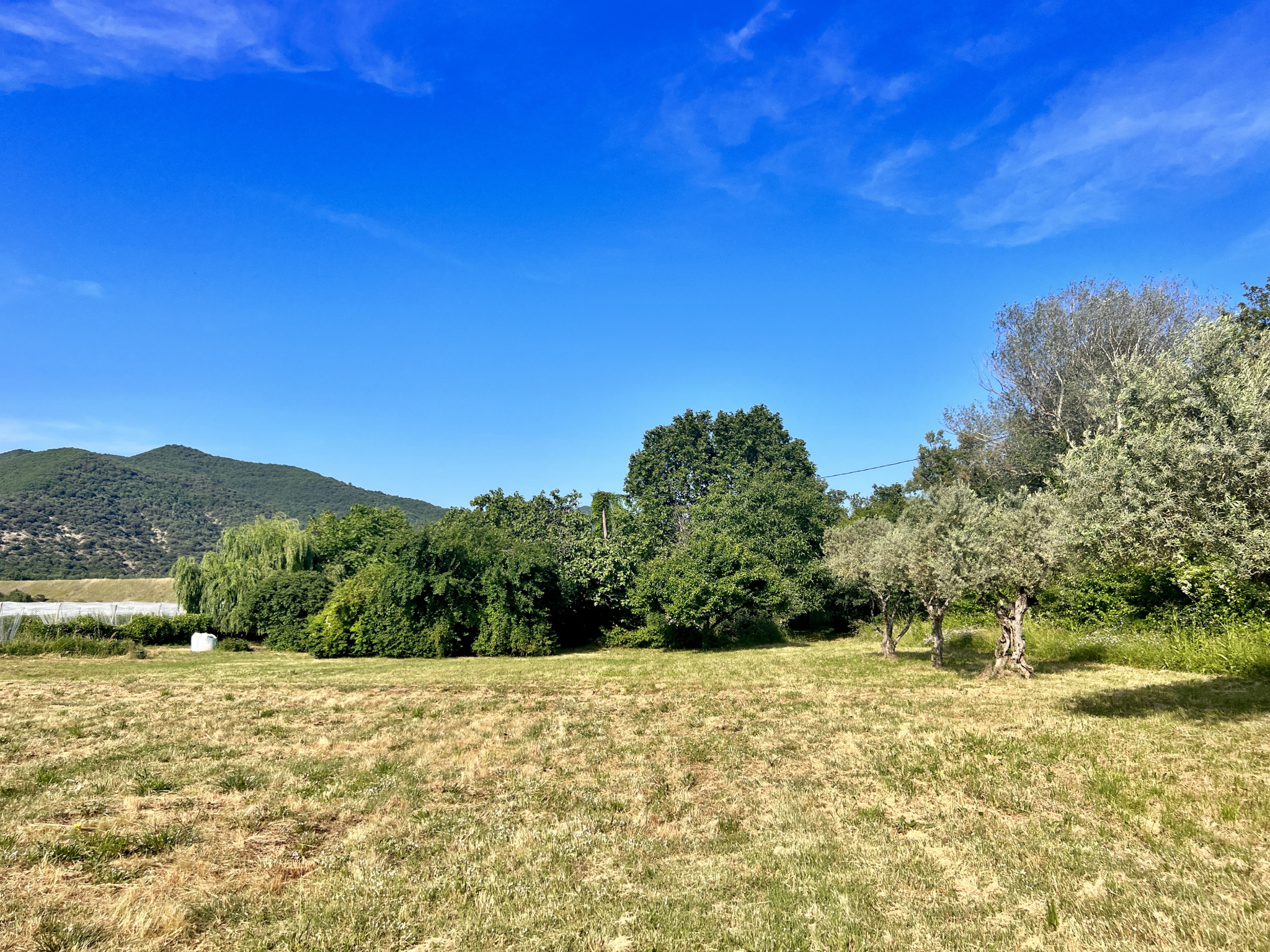 Image_4, Maison, Mées, ref :2026-26