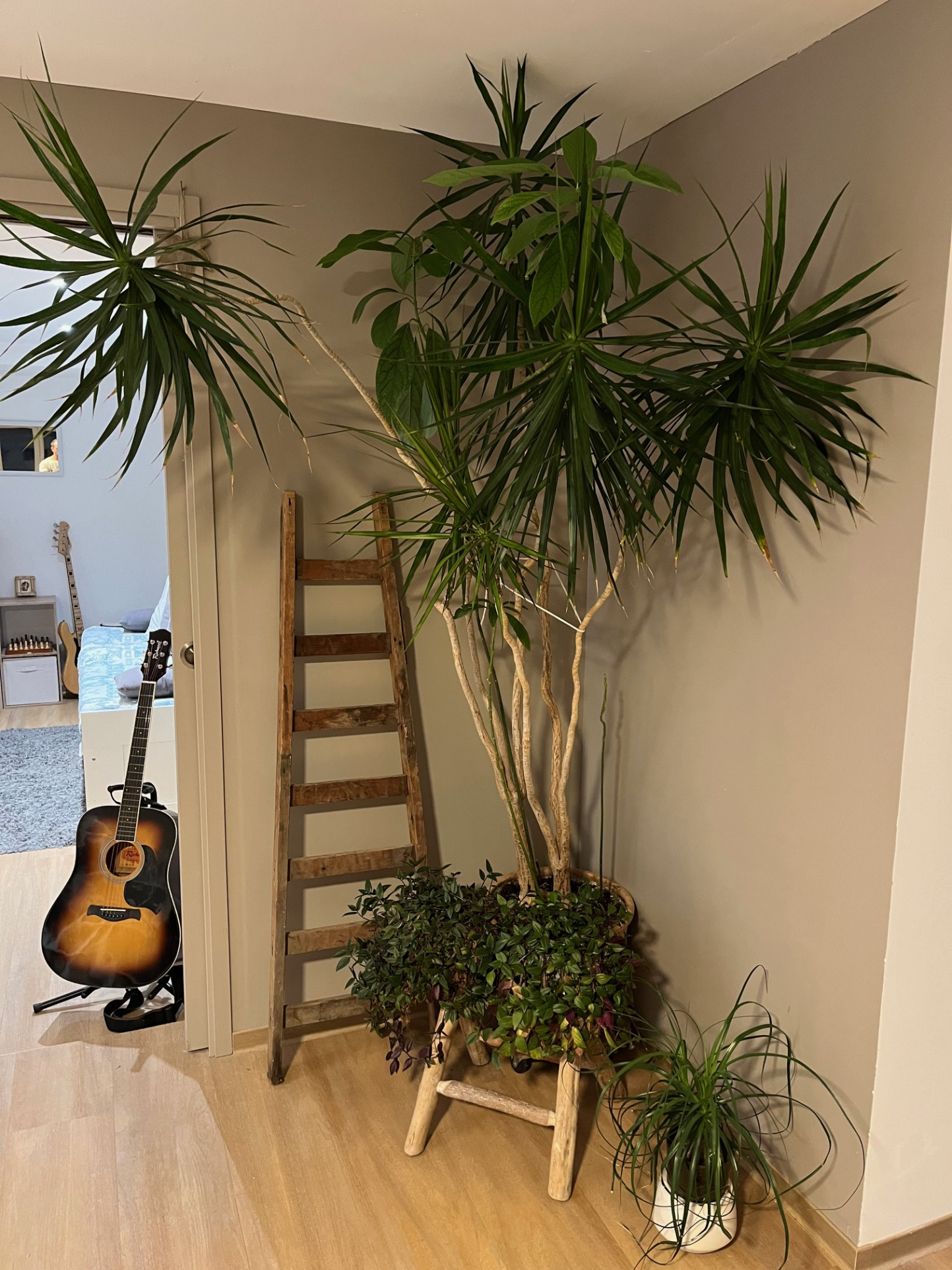 Image_18, Maison, Pierrevert, ref :2175-25