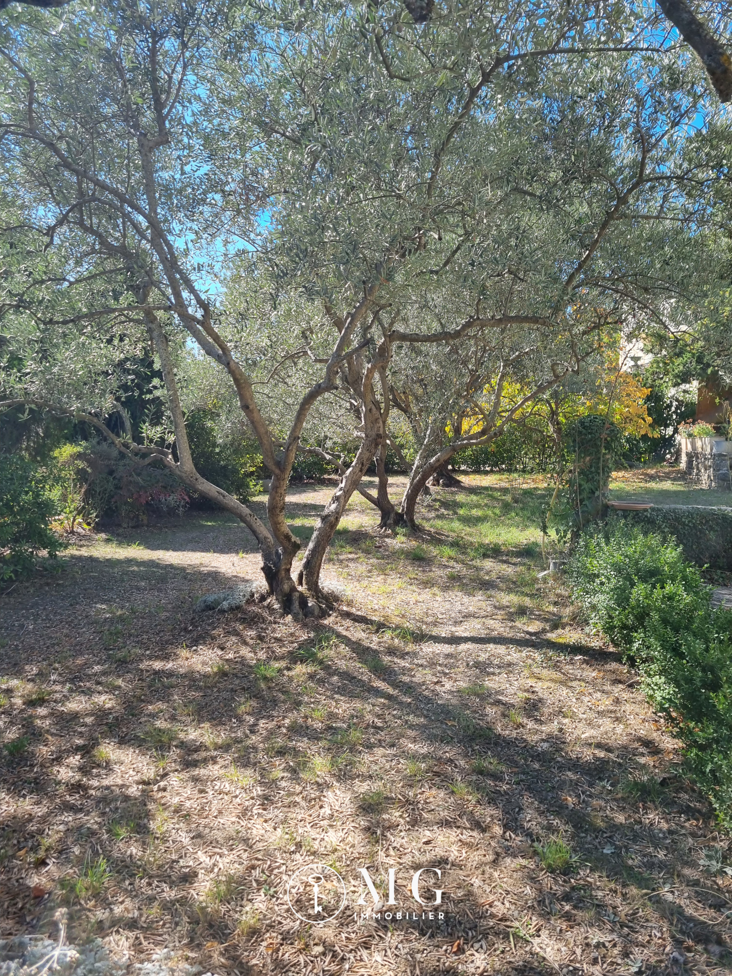 Image_3, Maison, Forcalquier, ref :2387-26