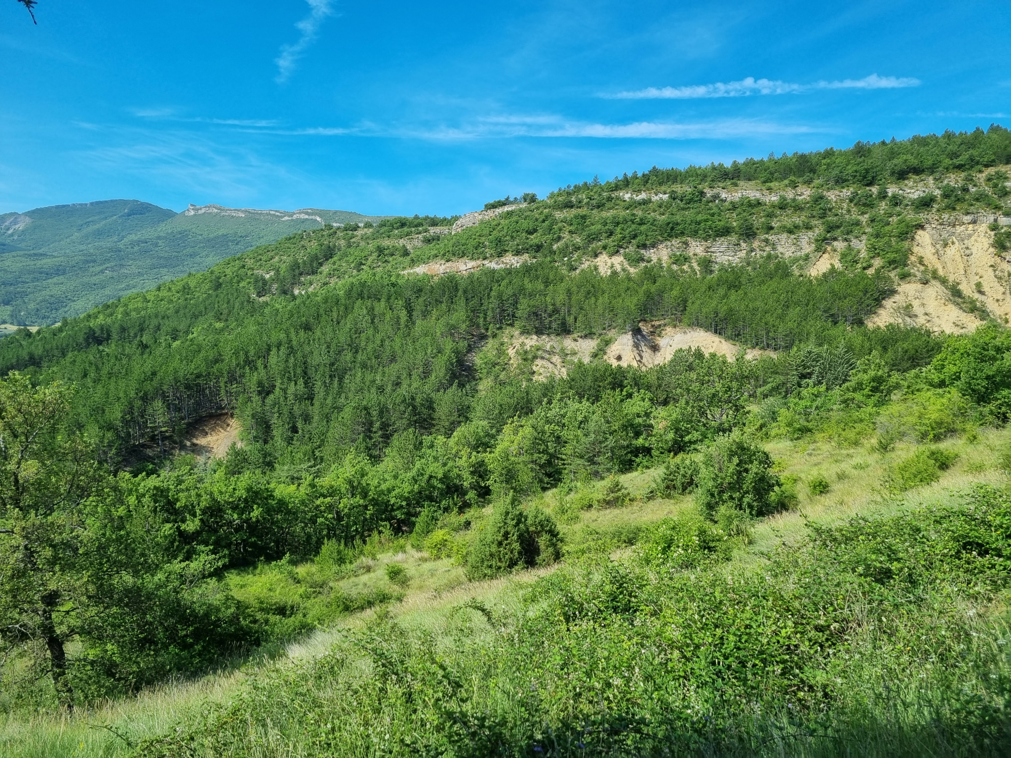 Image_11, Maison, Sisteron, ref :2338-26