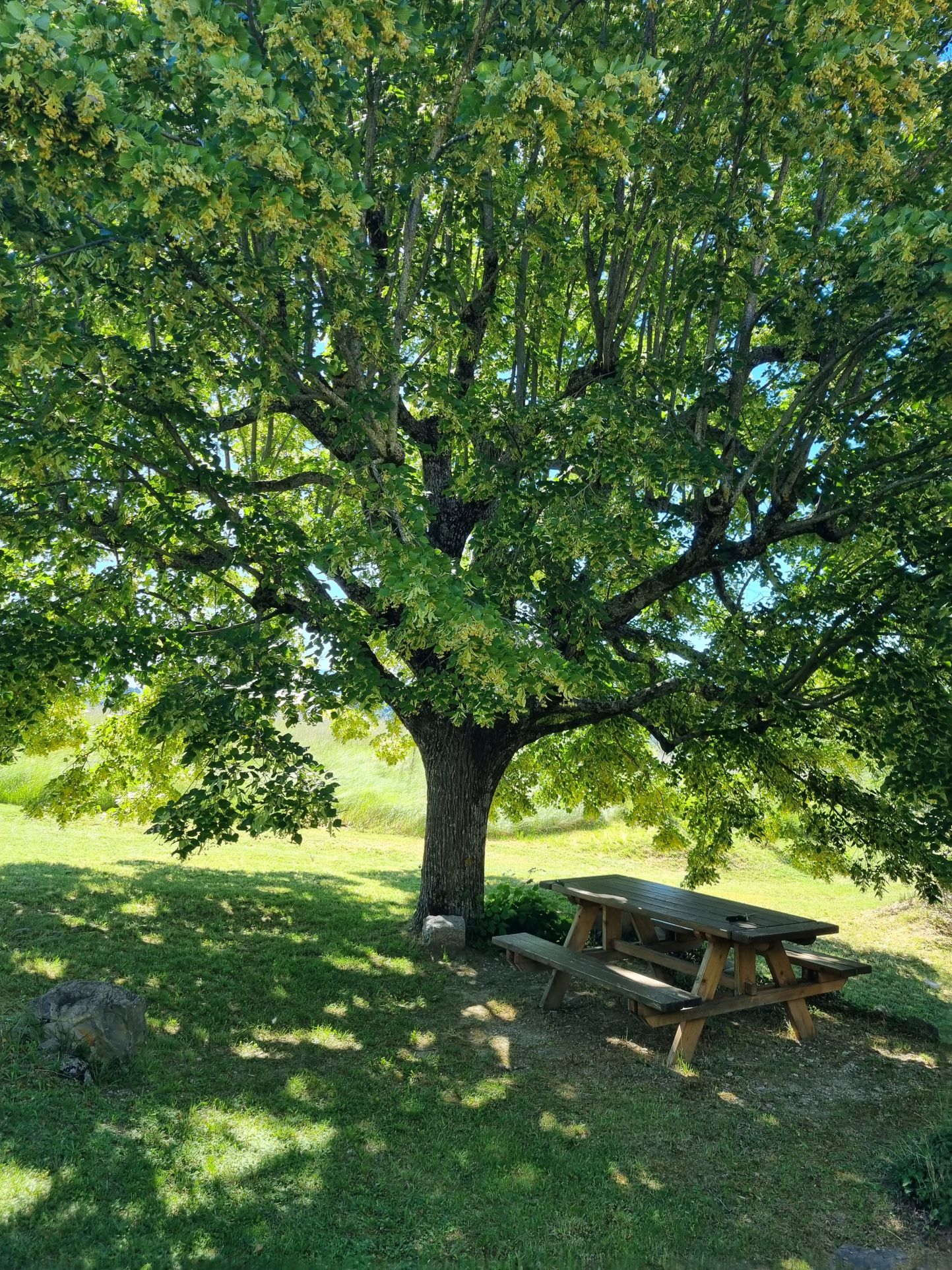 Image_4, Maison, Sisteron, ref :2338-26