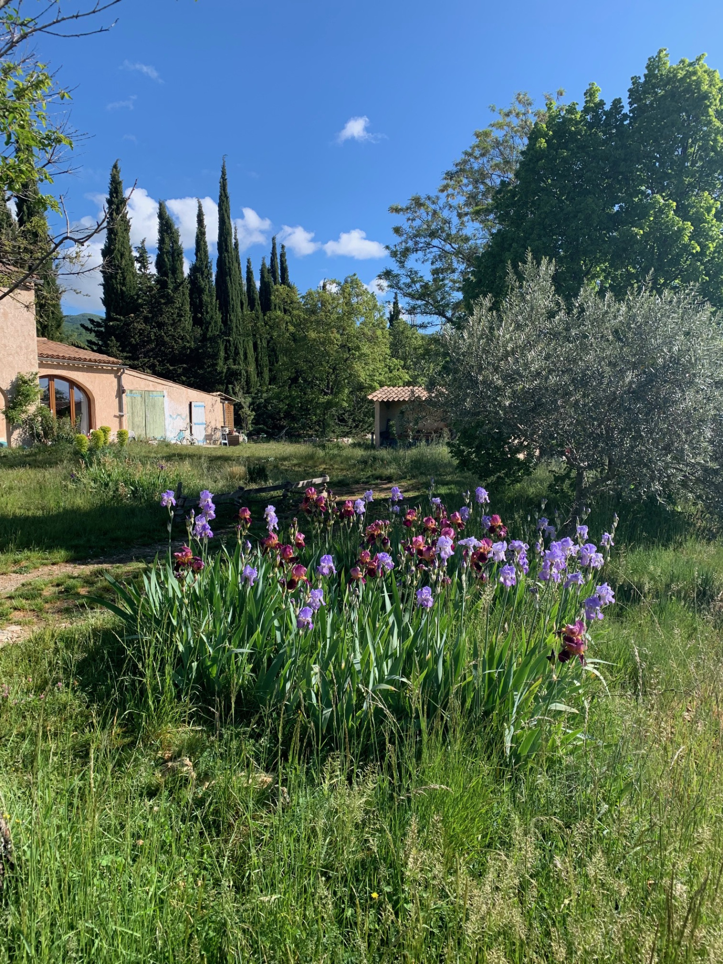 Image_5, Rez de jardin, Montlaux, ref :2087-25A