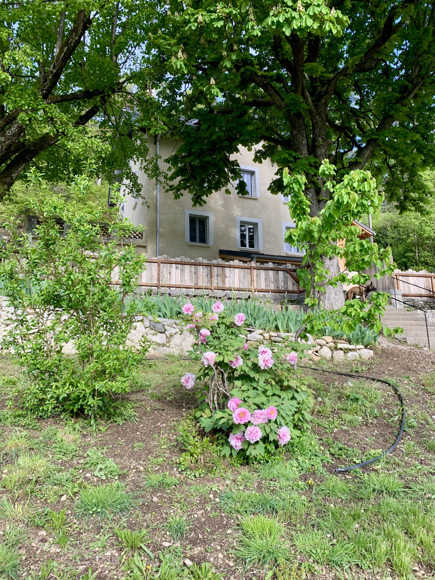 Image_2, Maison, Sisteron, ref :2062-24B
